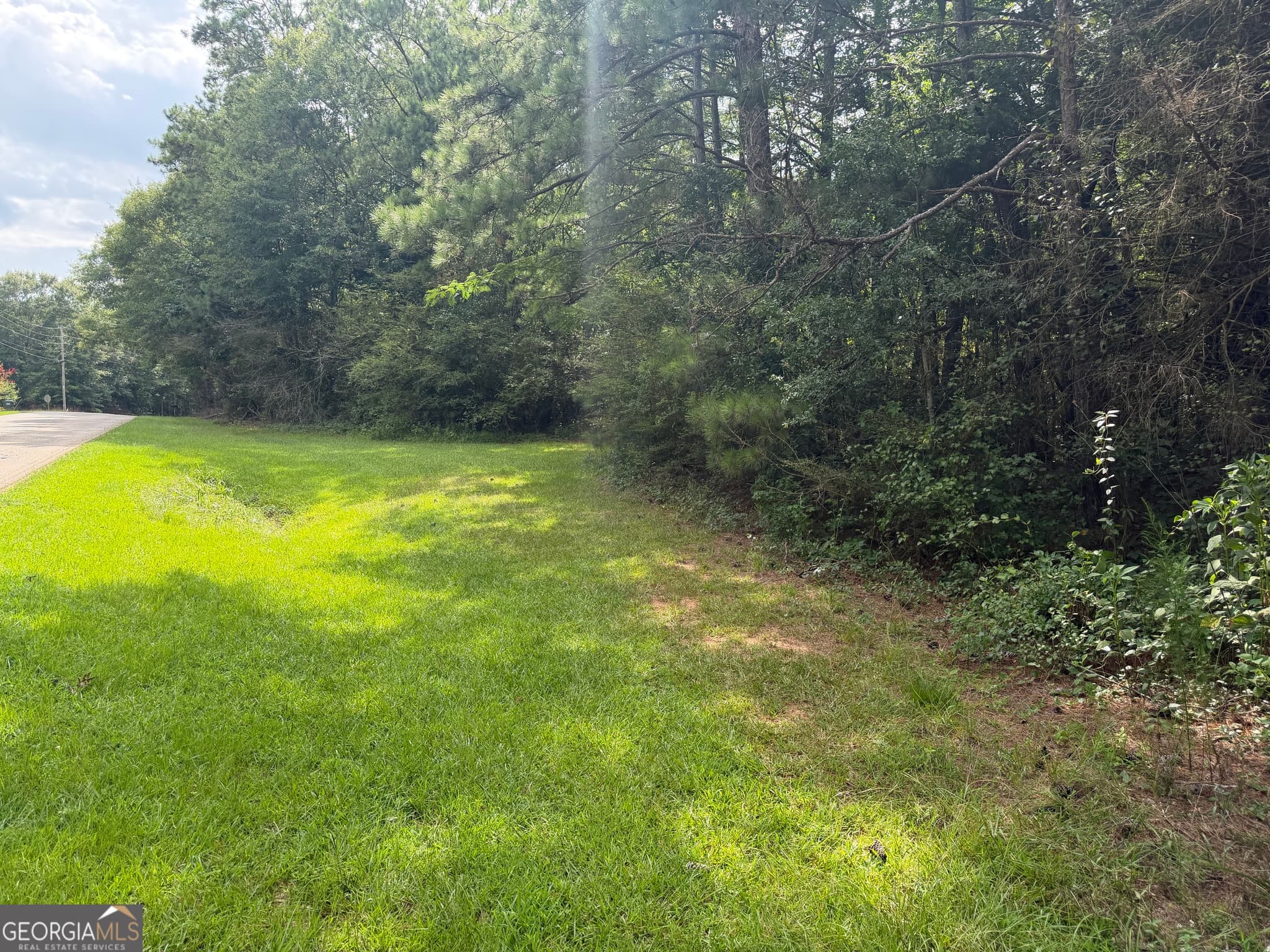 unimproved land for sale at 0 County Road 82, Newell, AL 36280