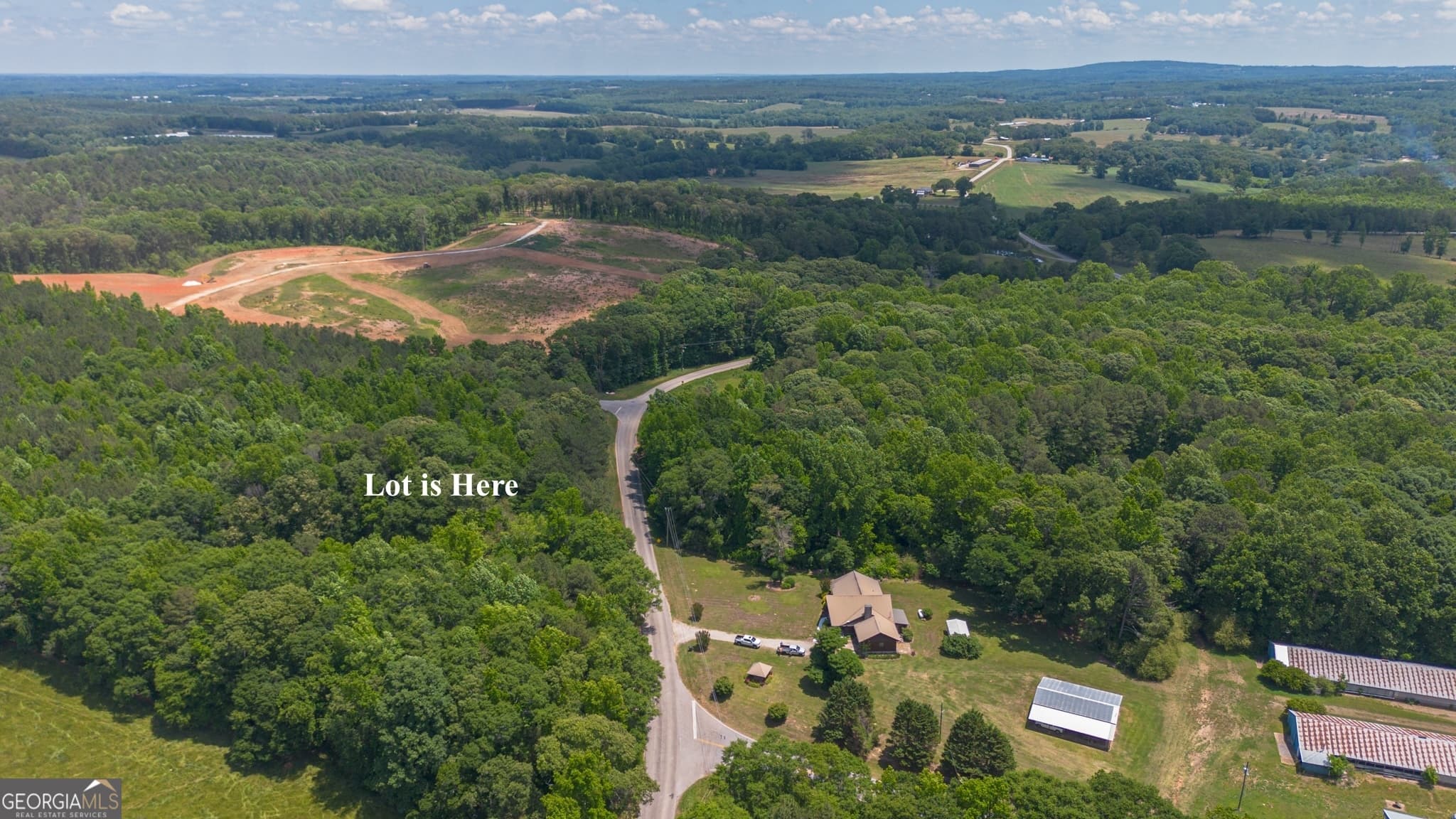 unimproved land for sale at 0 County Road 82, Newell, AL 36280 — photo 5