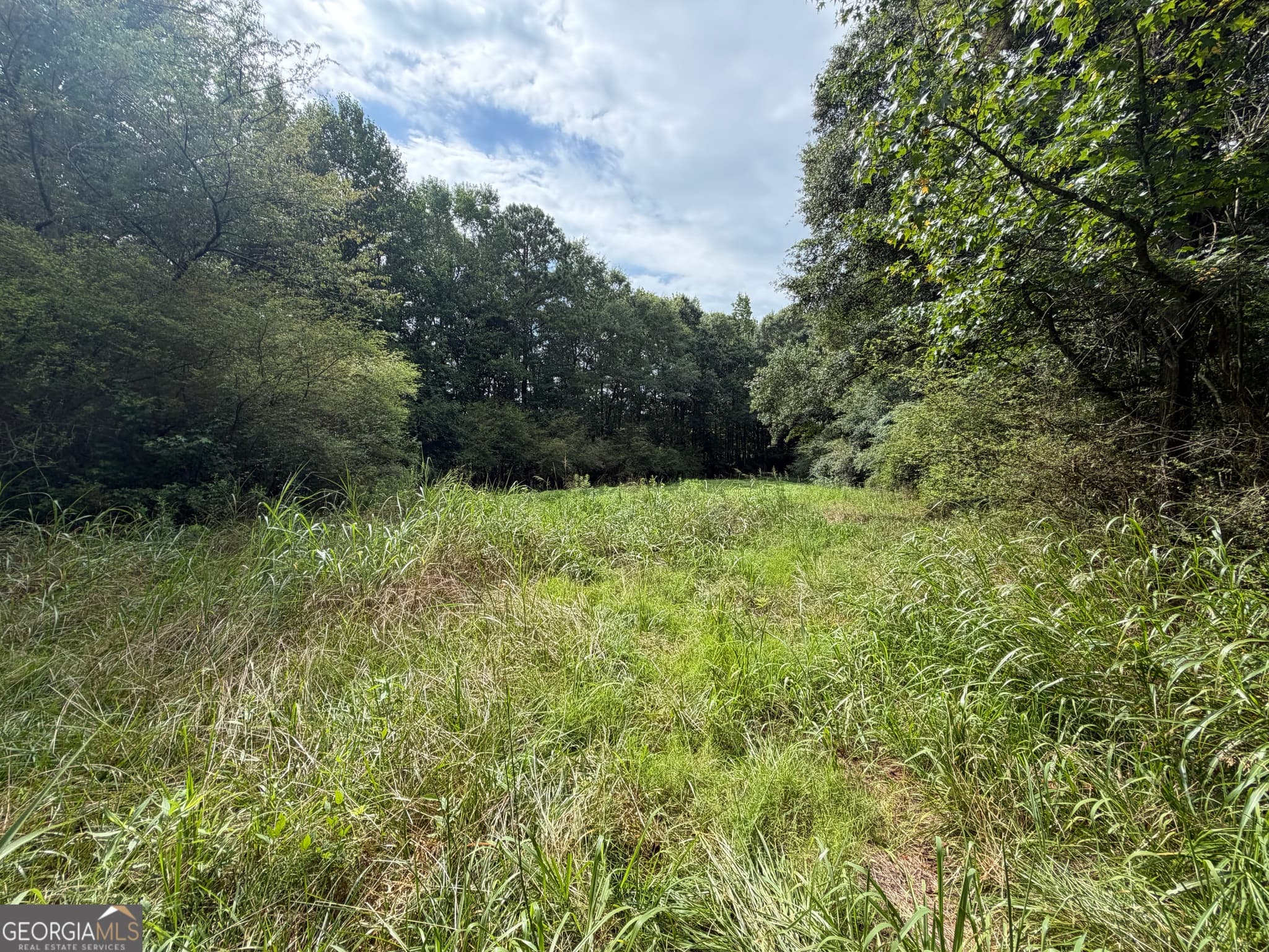 unimproved land for sale at 0 County Road 82, Newell, AL 36280 — photo 4