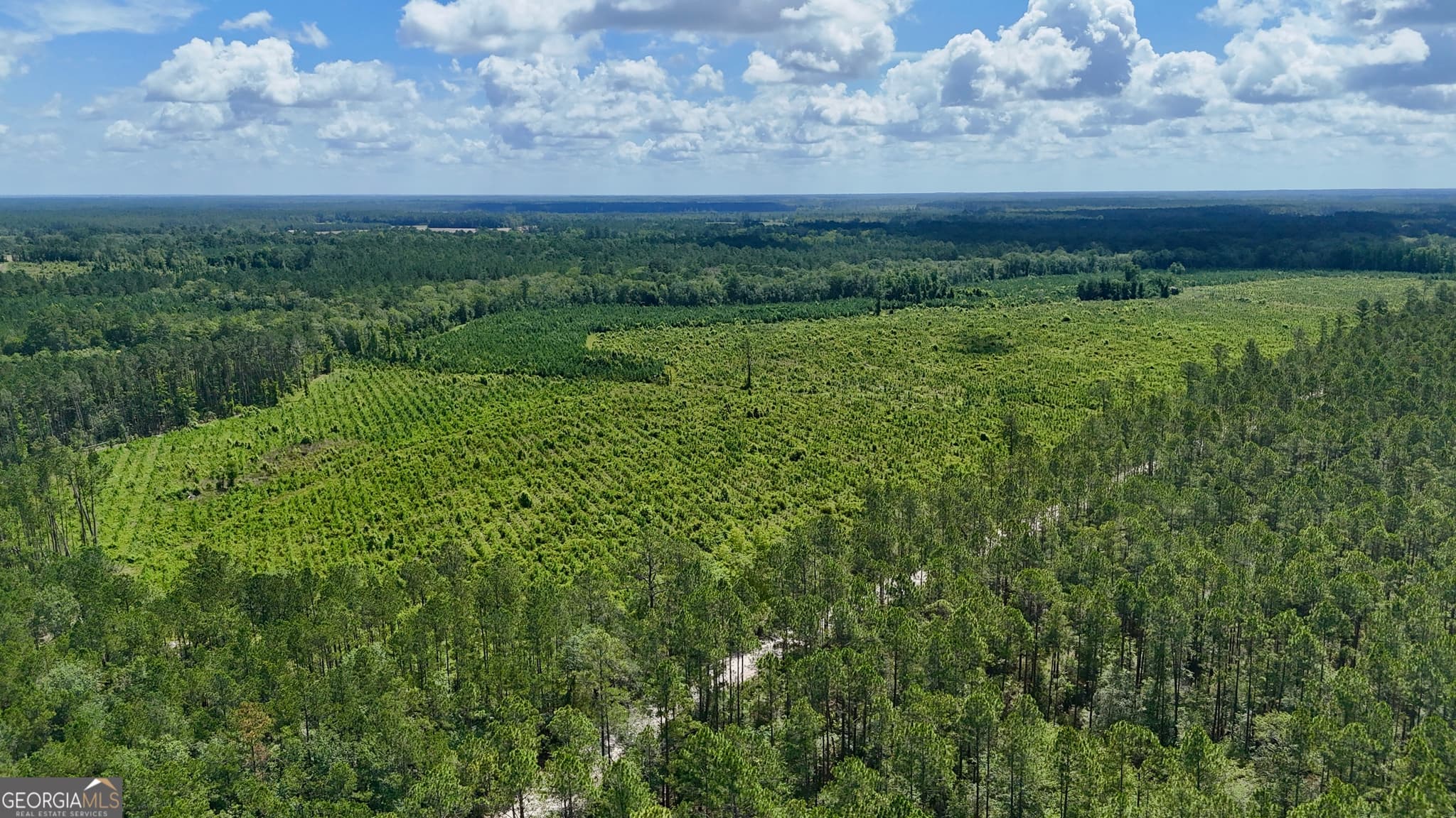 agriculture sold at TRACT 2 Bennett Mill Pond Road, Odum, GA 31555