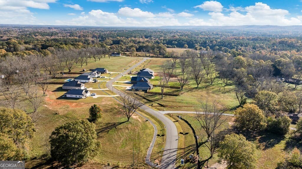 3 bedroom, 2 bathroom, 1,865 sq ft single family residence for sale at 133 Chinaberry Street, Pine Mountain, GA 31822 — photo 4