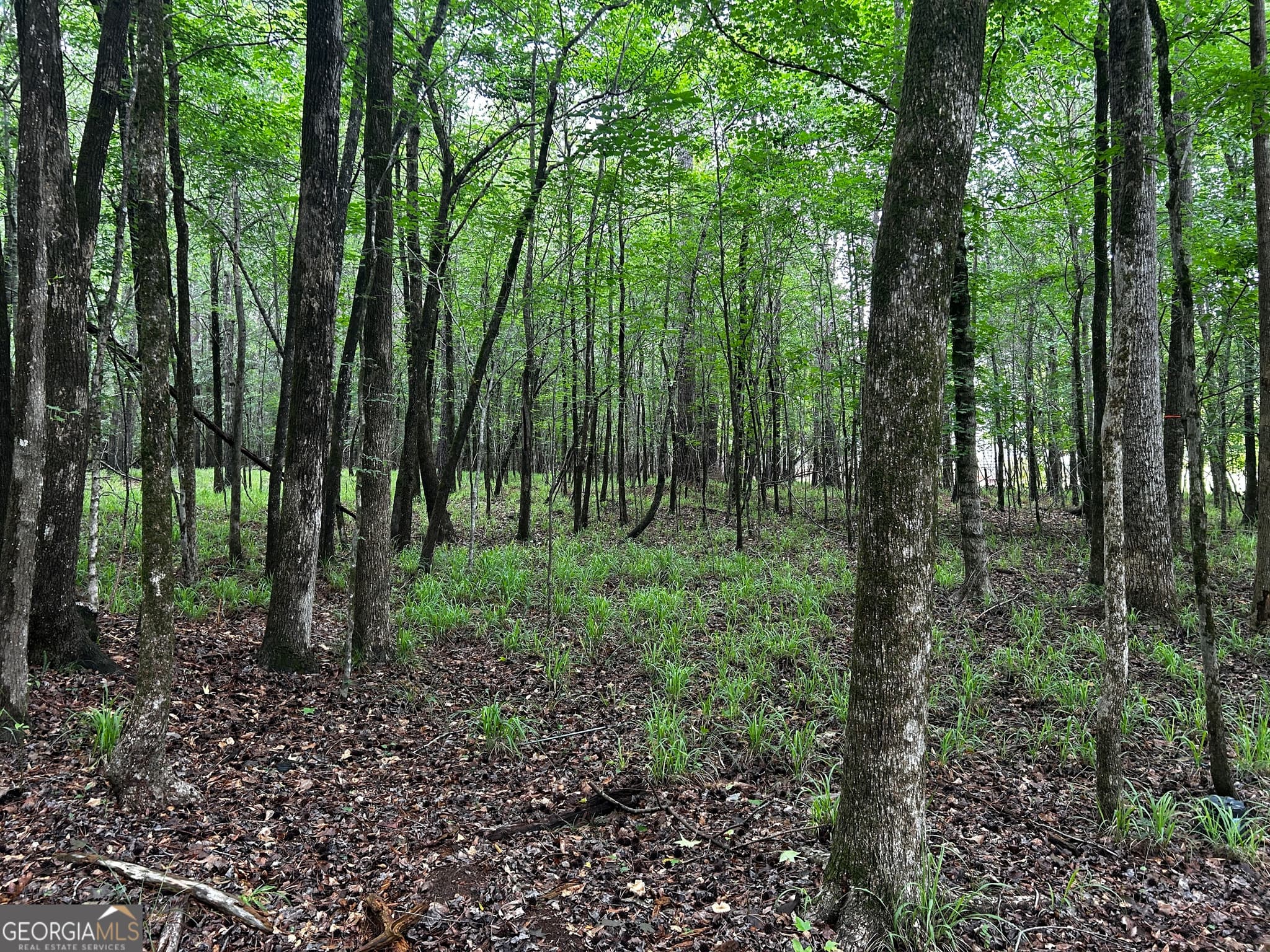 residential lot for sale at 213 Winding River Road, Eatonton, GA 31024 — photo 2