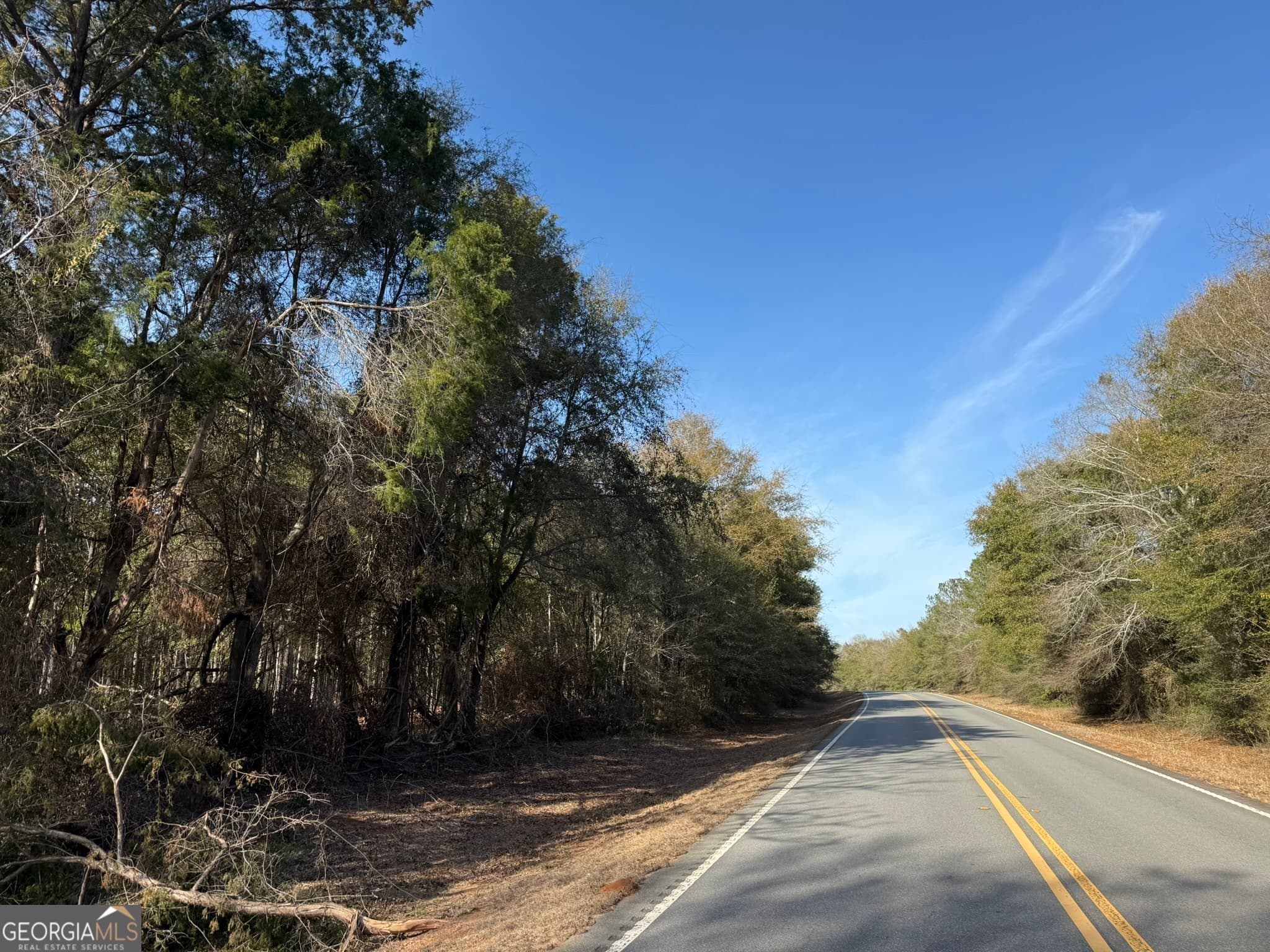 agriculture for sale at 004 Hwy 45, Plains, GA 31780 — photo 2