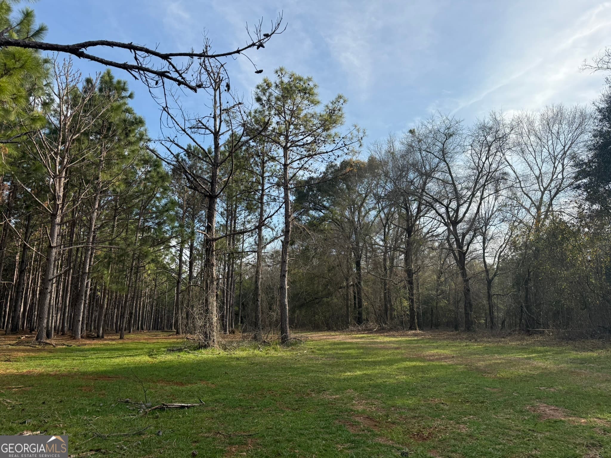 agriculture for sale at 004 Hwy 45, Plains, GA 31780 — photo 6