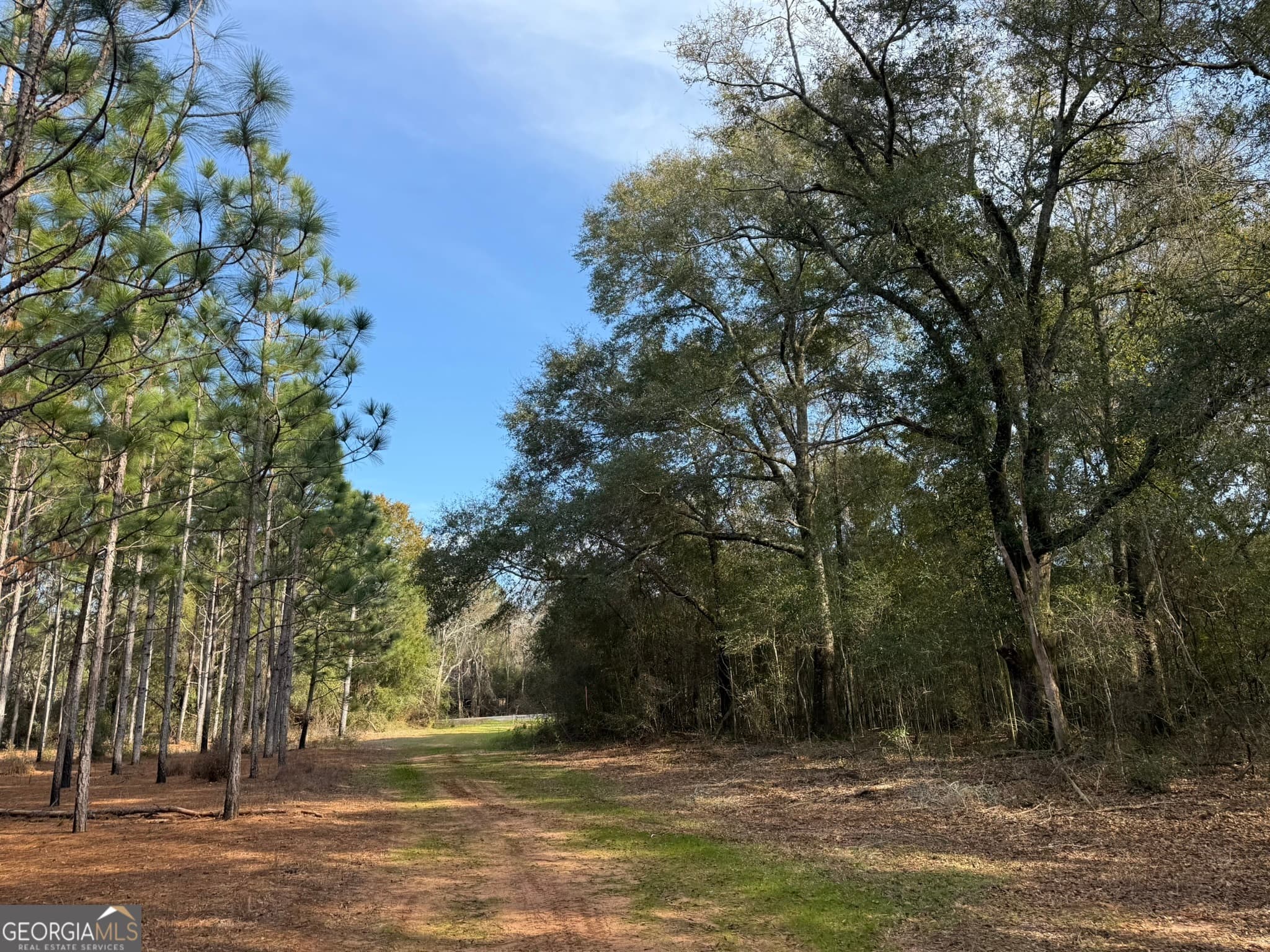 agriculture for sale at 004 Hwy 45, Plains, GA 31780
