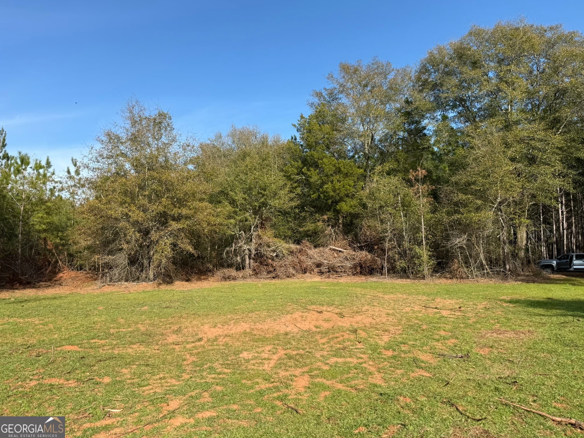 agriculture for sale at 004 Hwy 45, Plains, GA 31780 — photo 5