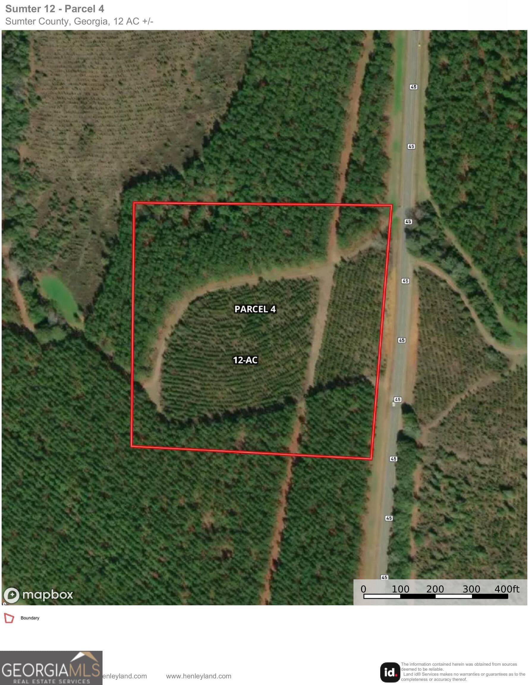agriculture for sale at 004 Hwy 45, Plains, GA 31780 — photo 8