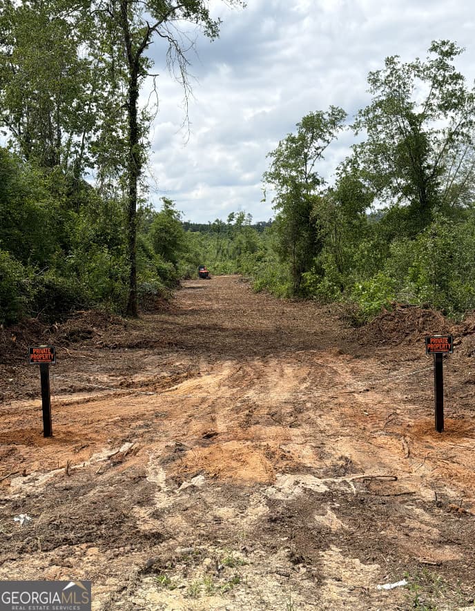 agriculture for sale at 0 Hephzibah McBean Road, Hephzibah, GA 30815