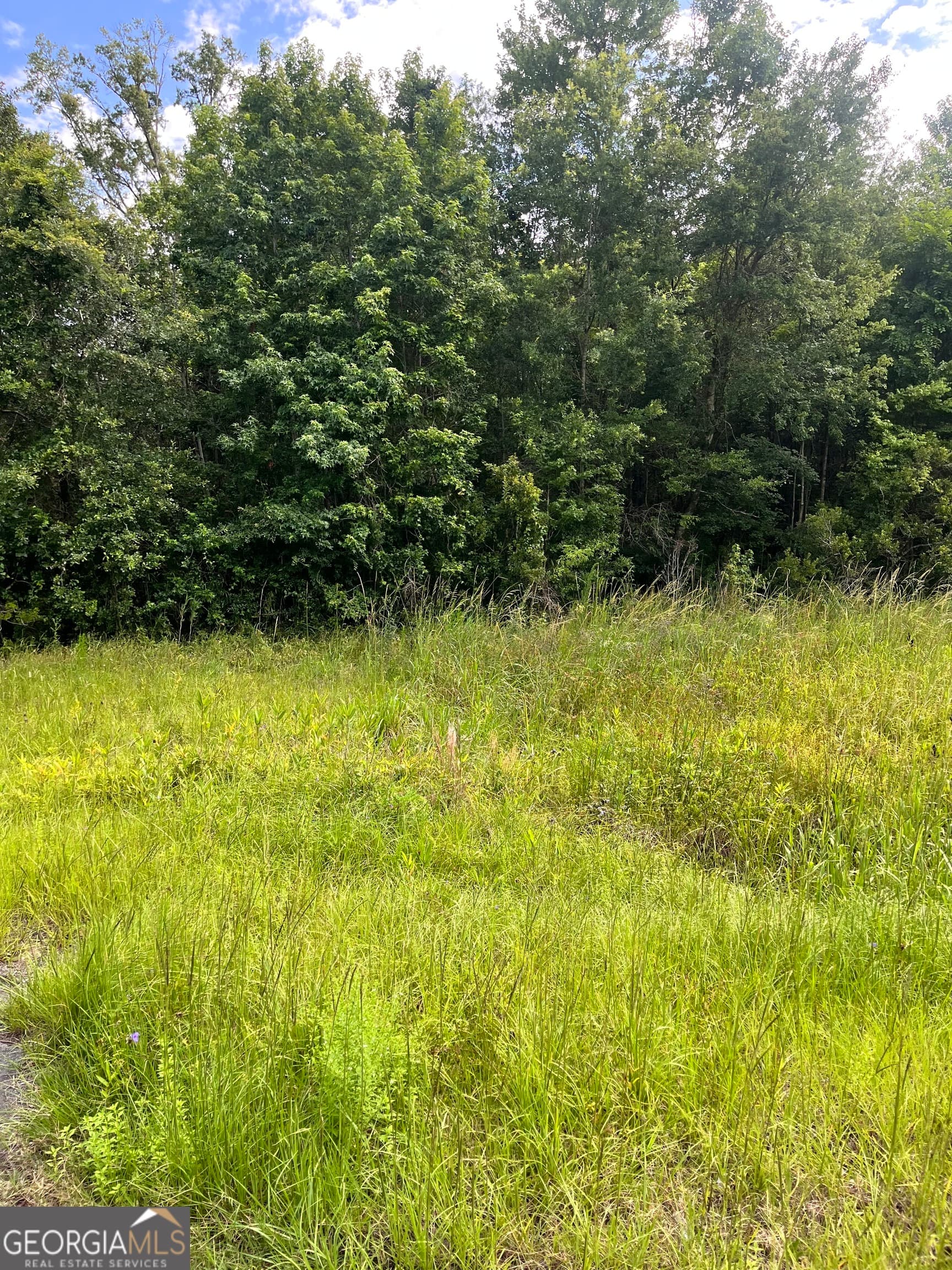 residential lot for sale at 0 Oglethorpe East Highway, Midway, GA 31320 — photo 2