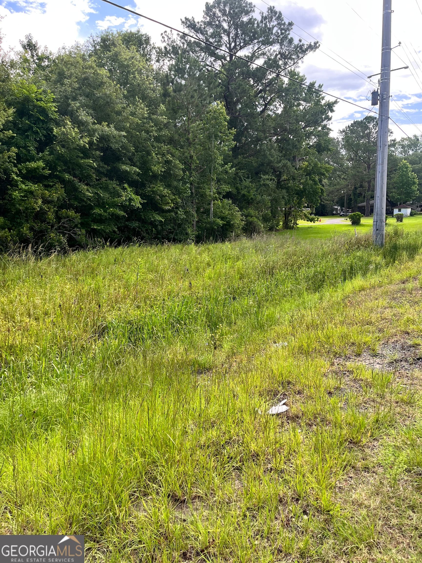 residential lot for sale at 0 Oglethorpe East Highway, Midway, GA 31320 — photo 6