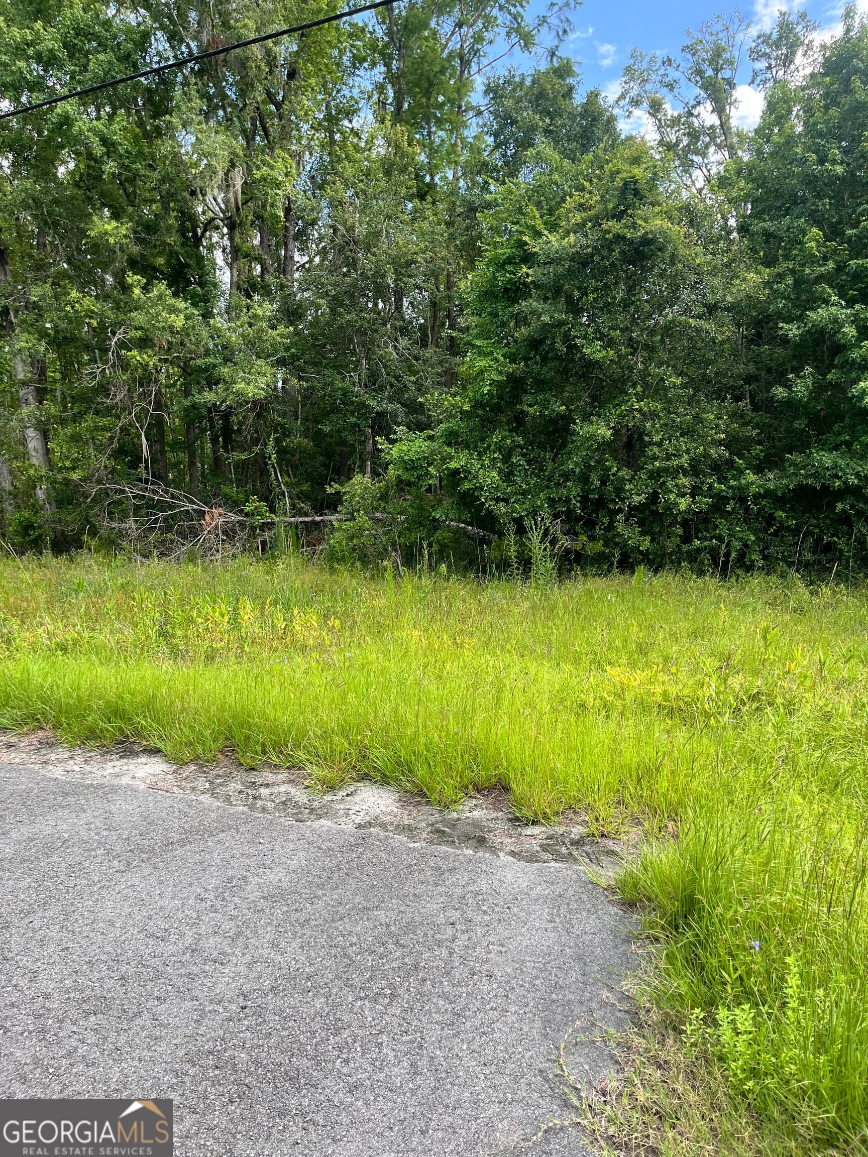 residential lot for sale at 0 Oglethorpe East Highway, Midway, GA 31320 — photo 3