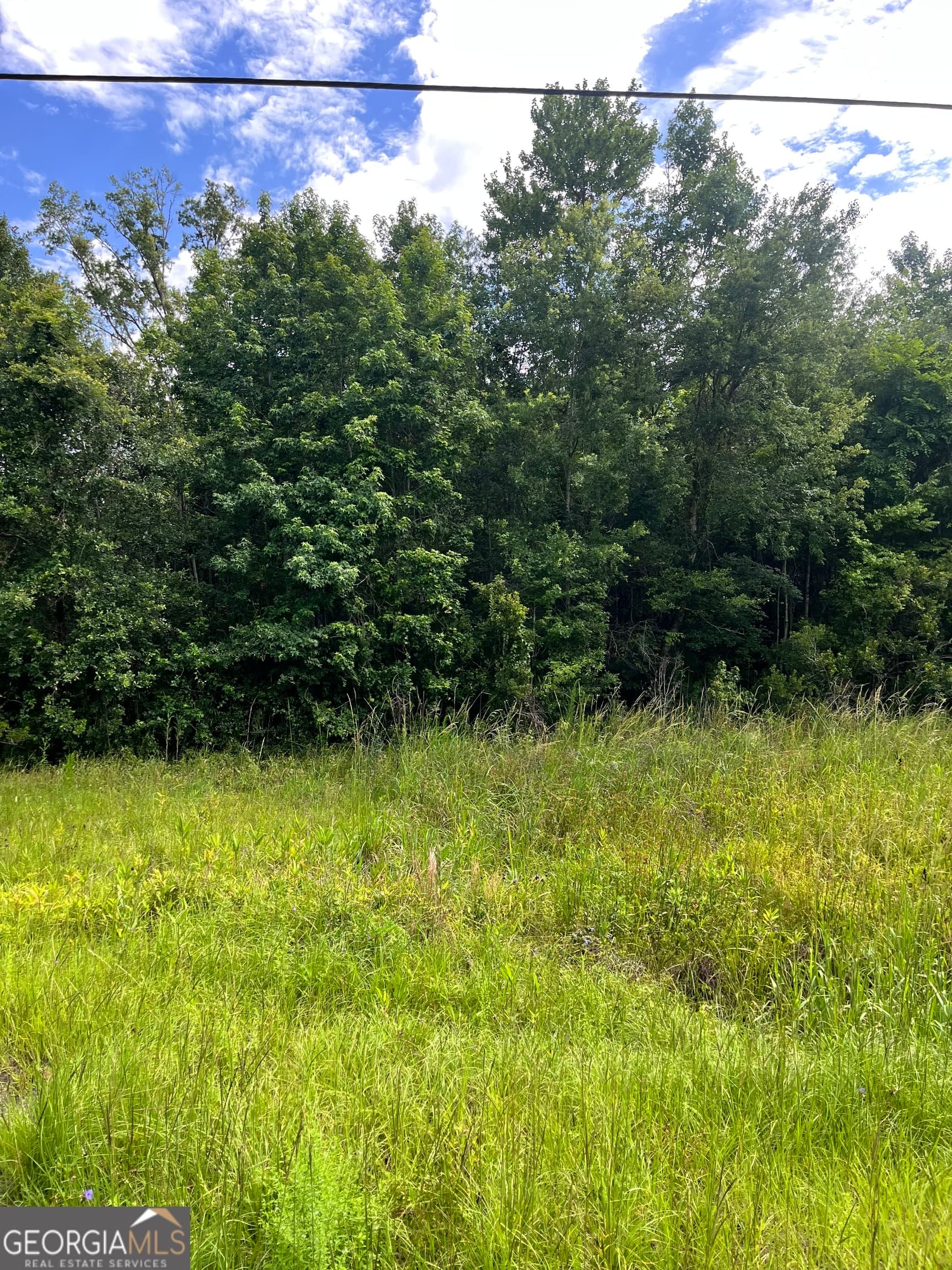 residential lot for sale at 0 Oglethorpe East Highway, Midway, GA 31320 — photo 5