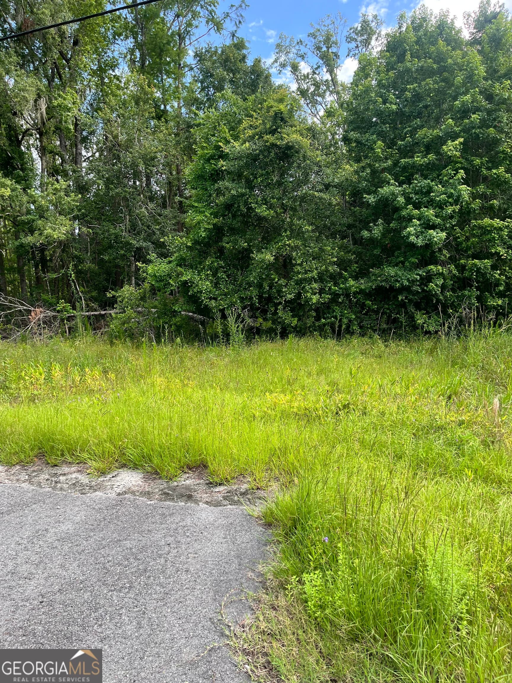 residential lot for sale at 0 Oglethorpe East Highway, Midway, GA 31320 — photo 4