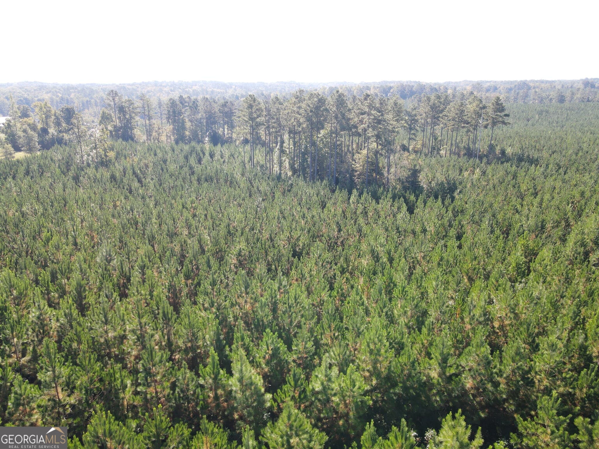 unimproved land for sale at 0 Kilpatrick Road TRACT 2D, Eatonton, GA 31024 — photo 6