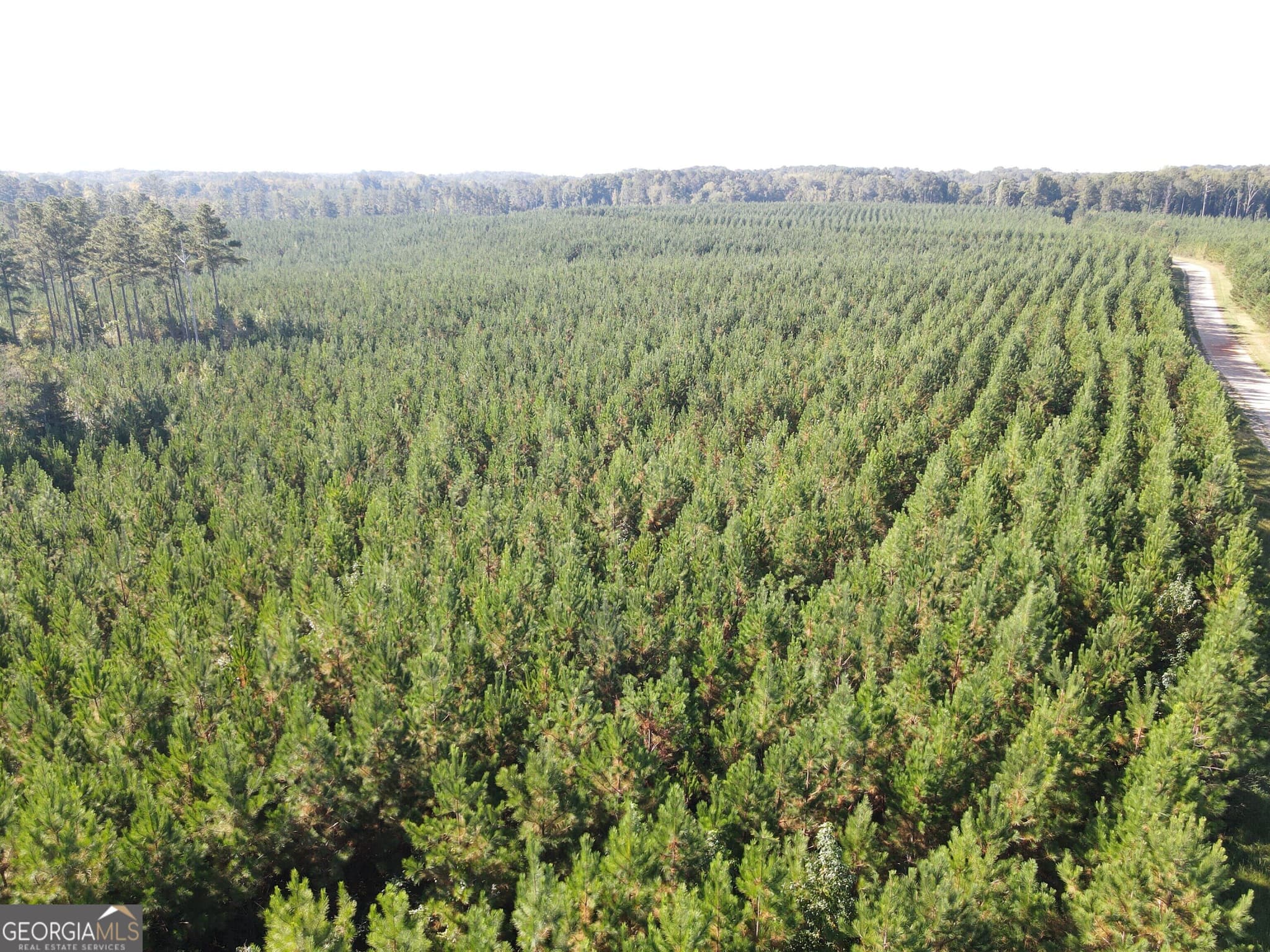 unimproved land for sale at 0 Kilpatrick Road TRACT 2D, Eatonton, GA 31024 — photo 5