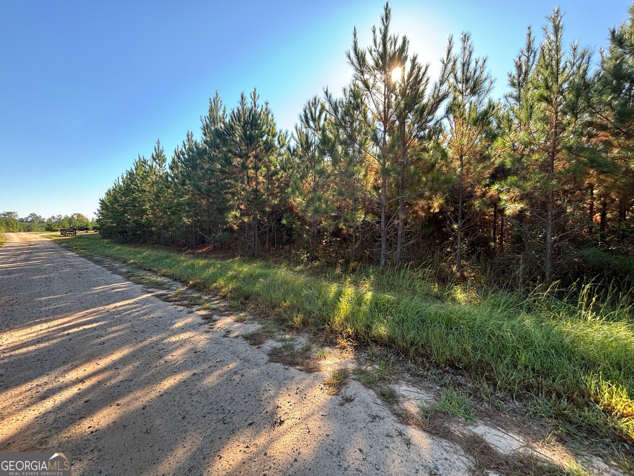 unimproved land for sale at 0 Kilpatrick Road TRACT 2D, Eatonton, GA 31024 — photo 9