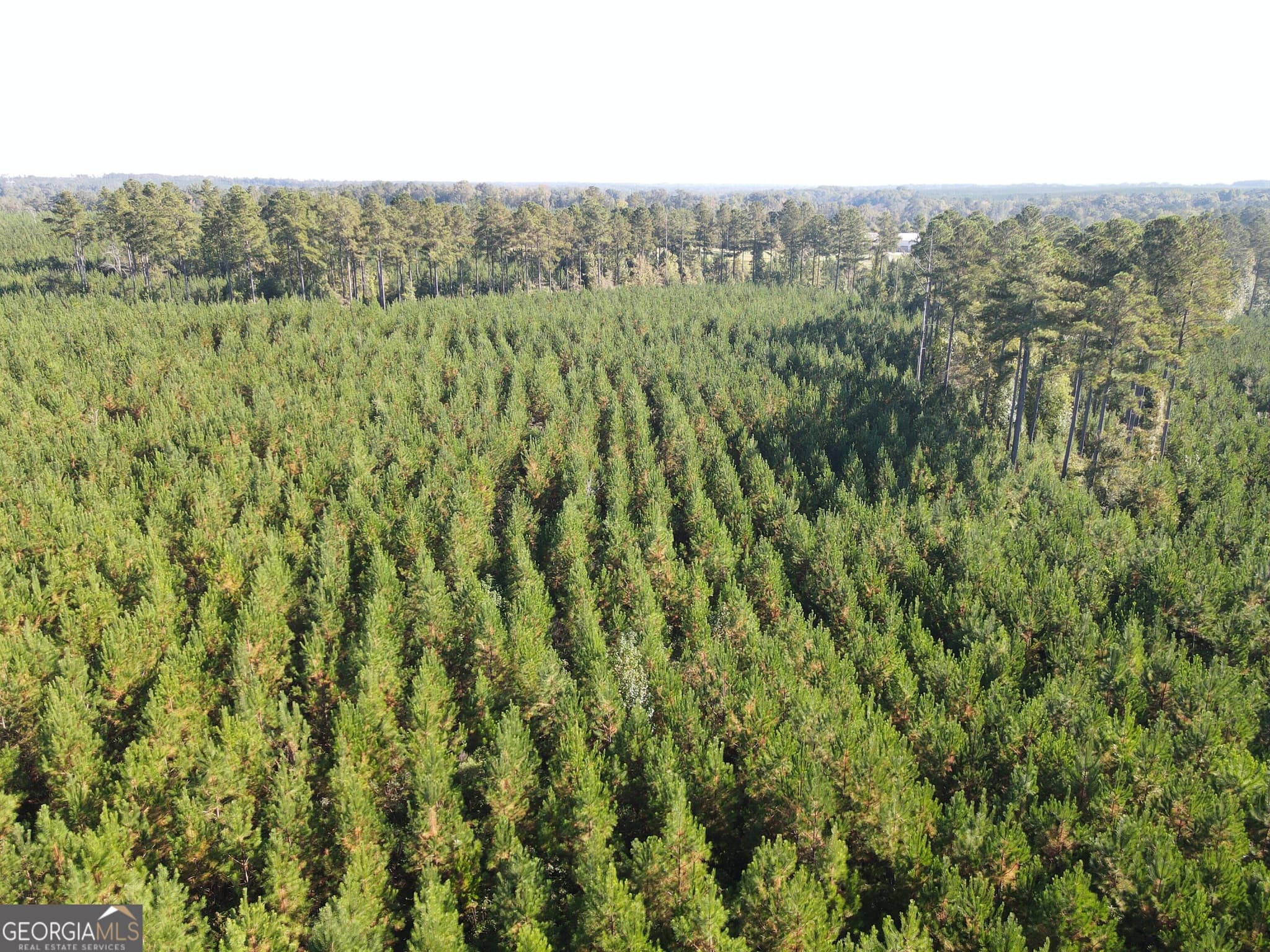 unimproved land for sale at 0 Kilpatrick Road TRACT 2D, Eatonton, GA 31024 — photo 4