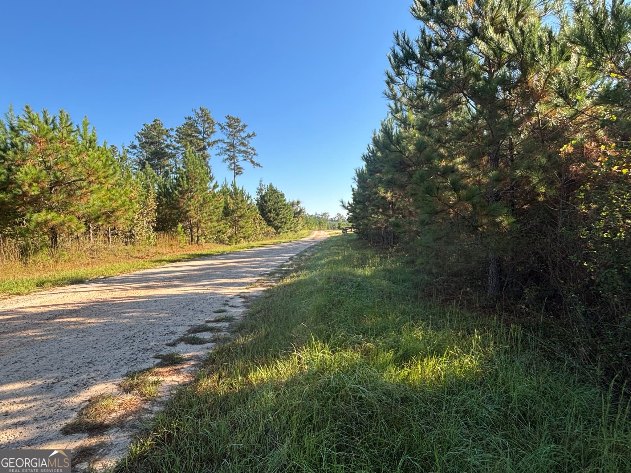 unimproved land for sale at 0 Kilpatrick Road TRACT 2D, Eatonton, GA 31024 — photo 8