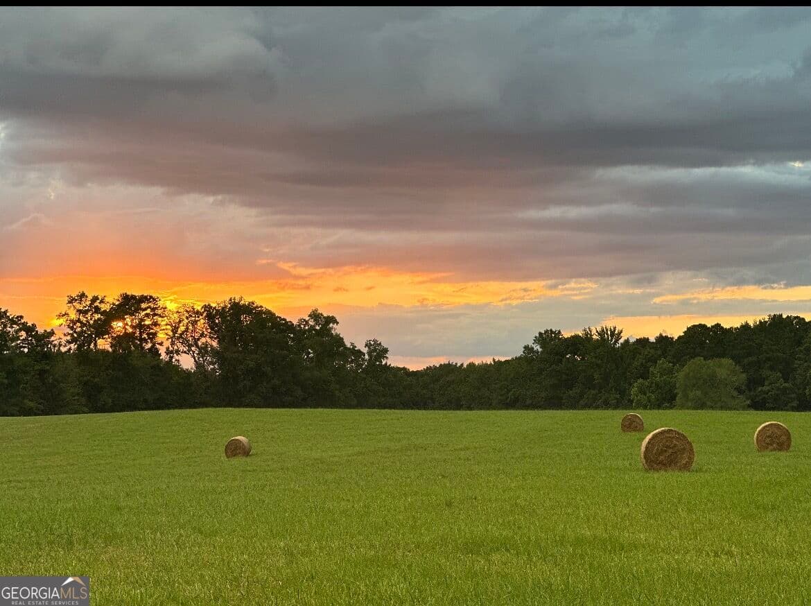 agriculture for sale at 167 Rogers Road, Monticello, GA 31064 — photo 2
