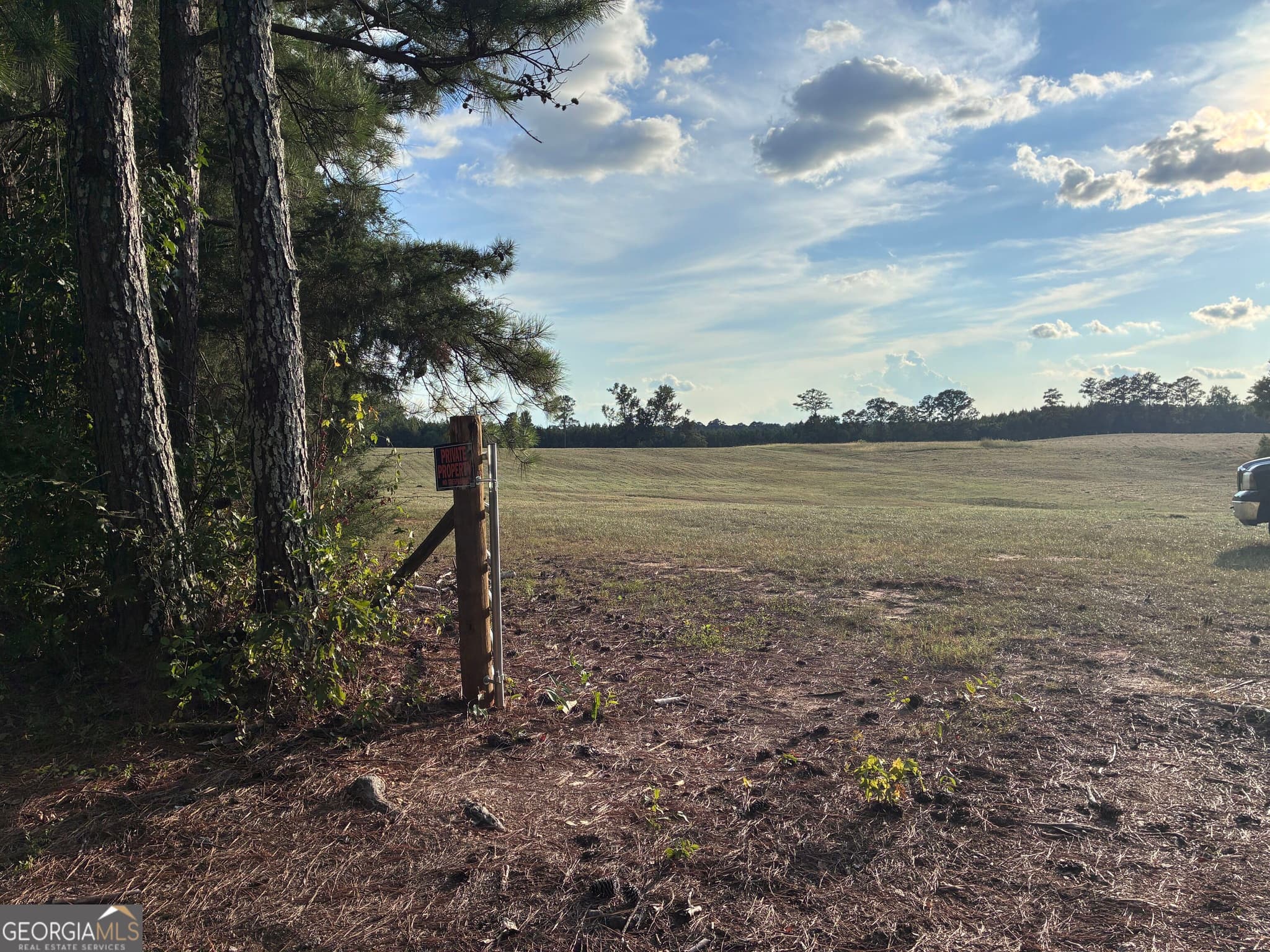 agriculture for sale at 167 Rogers Road, Monticello, GA 31064 — photo 3