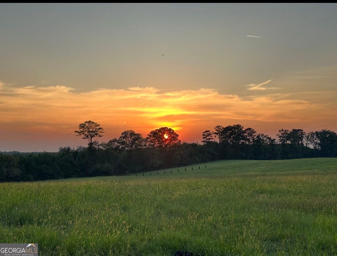 agriculture for sale at 167 Rogers Road, Monticello, GA 31064 — photo 1 of 20