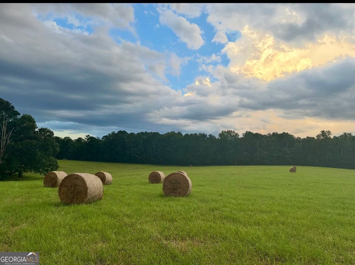 agriculture for sale at 167 Rogers Road, Monticello, GA 31064 — photo 5
