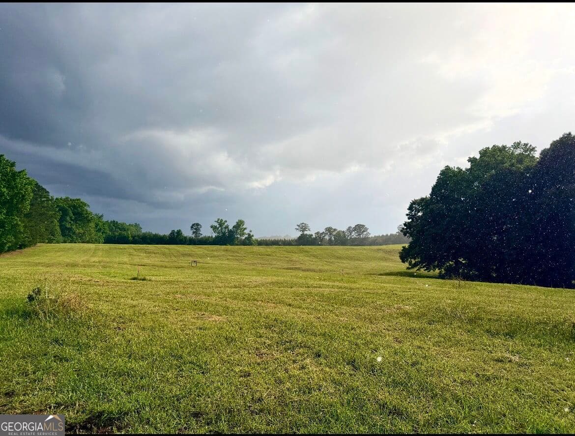 agriculture for sale at 167 Rogers Road, Monticello, GA 31064 — photo 4