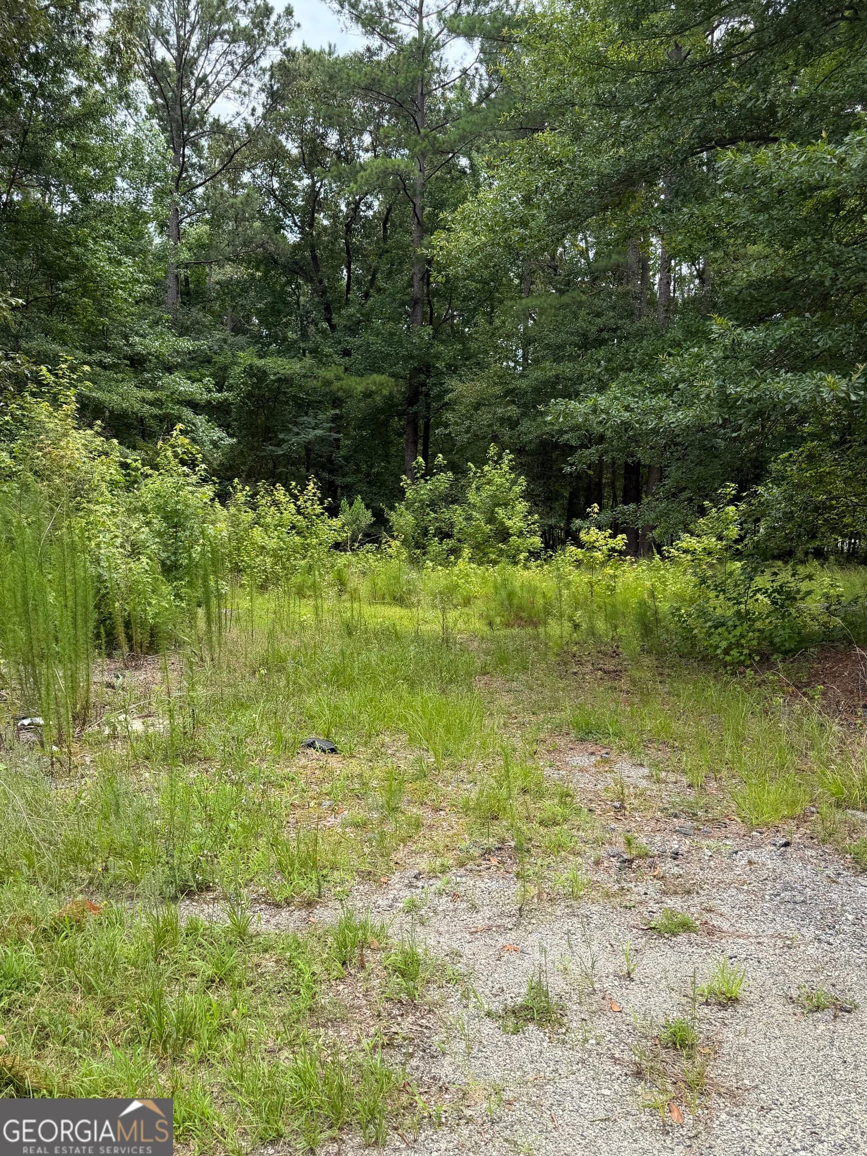 agriculture for sale at 1930 Locust Grove Road, Griffin, GA 30223 — photo 2