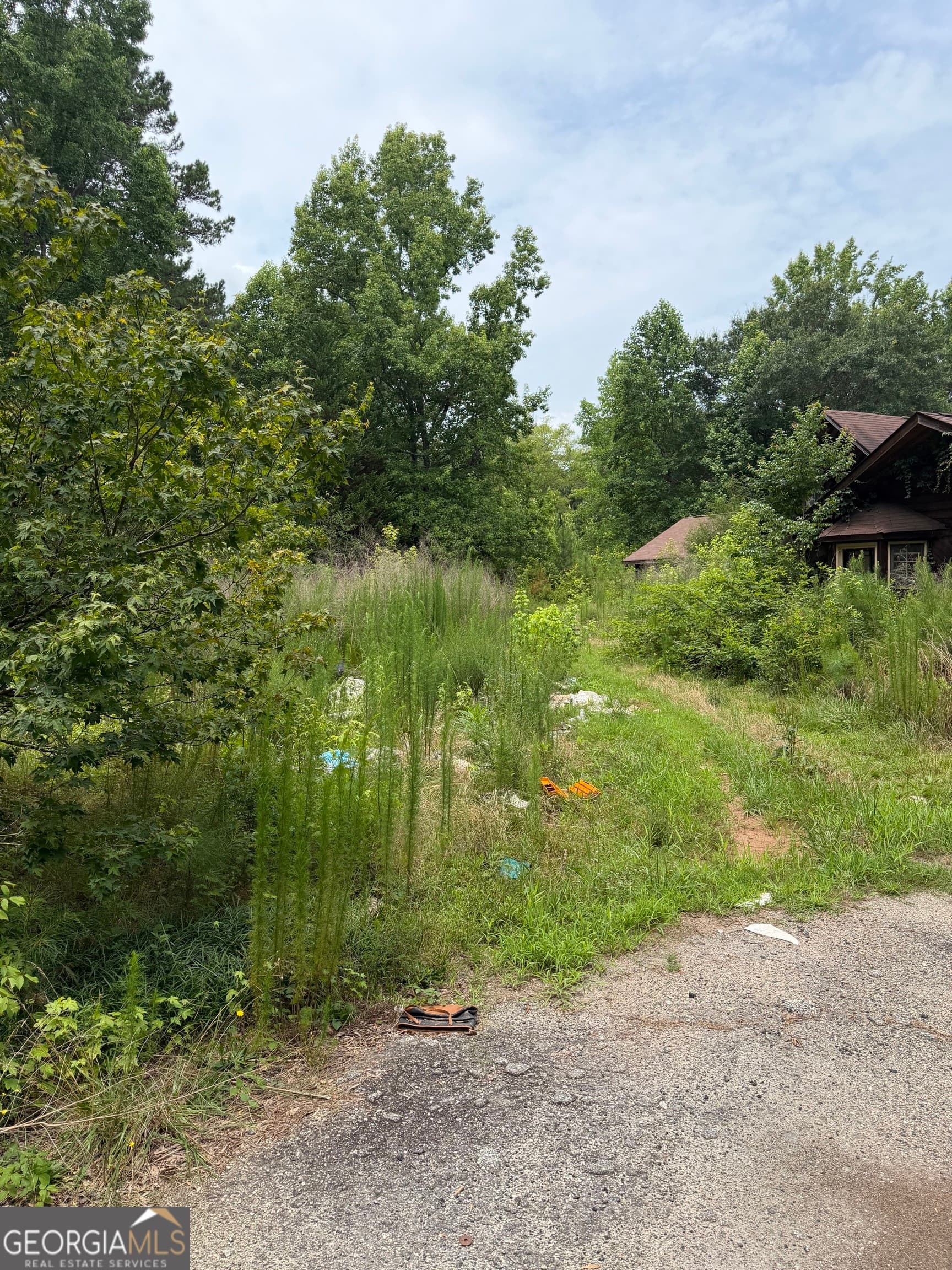 agriculture for sale at 1930 Locust Grove Road, Griffin, GA 30223 — photo 6