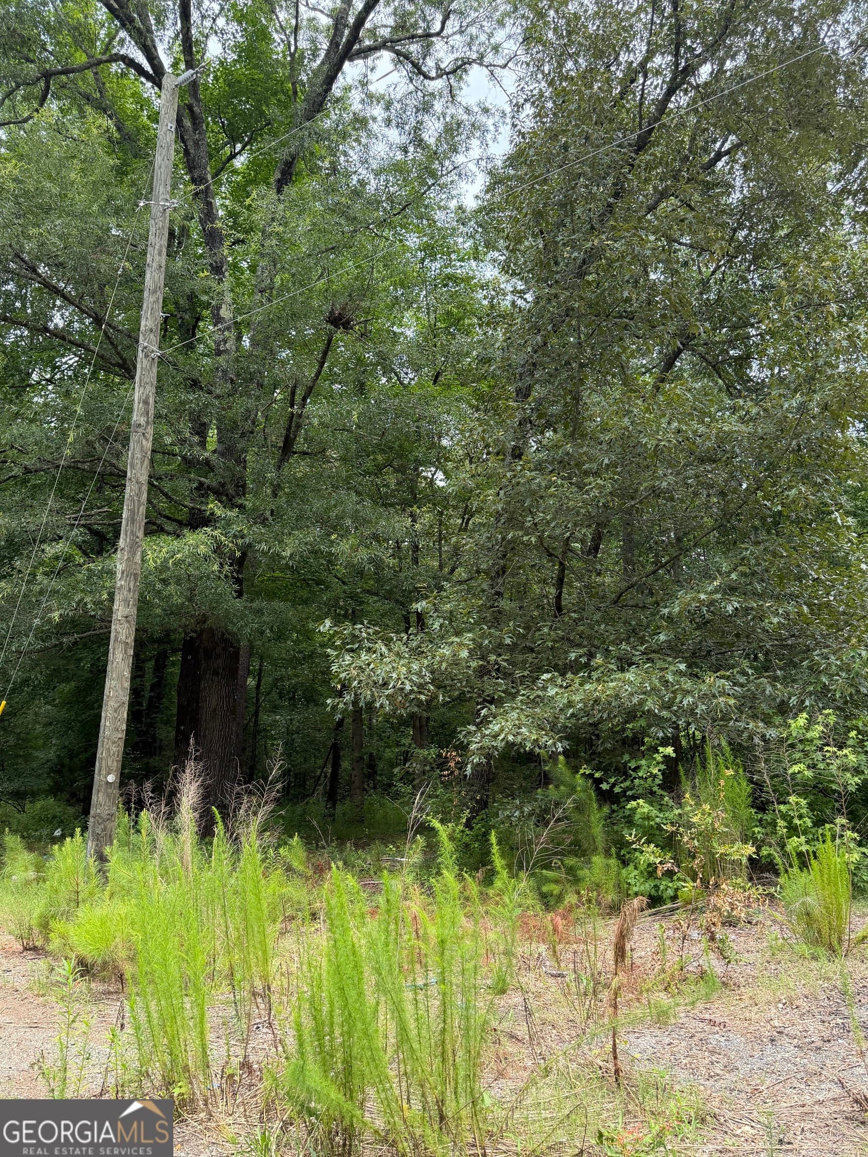 agriculture for sale at 1930 Locust Grove Road, Griffin, GA 30223 — photo 3