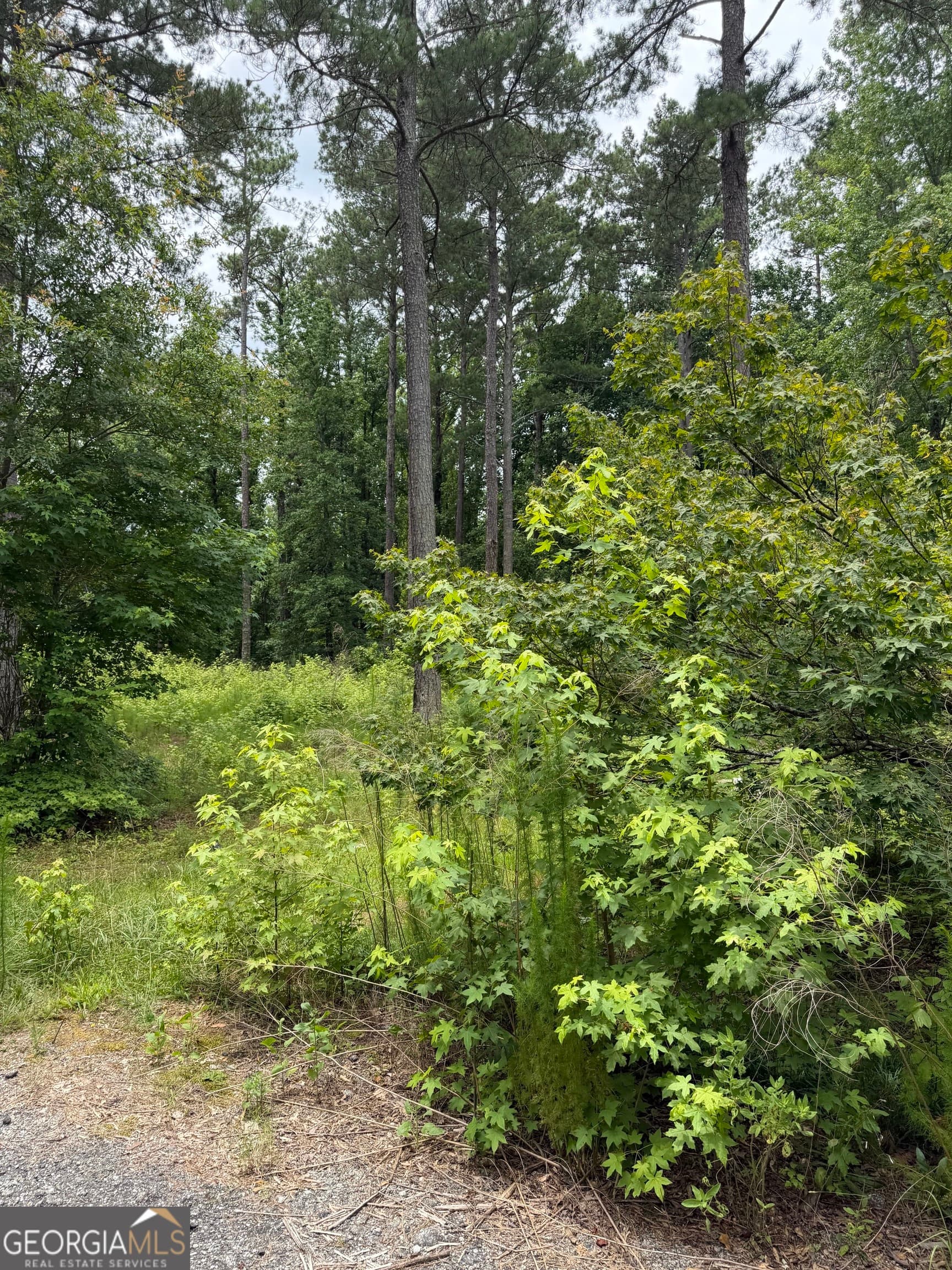 agriculture for sale at 1930 Locust Grove Road, Griffin, GA 30223 — photo 5