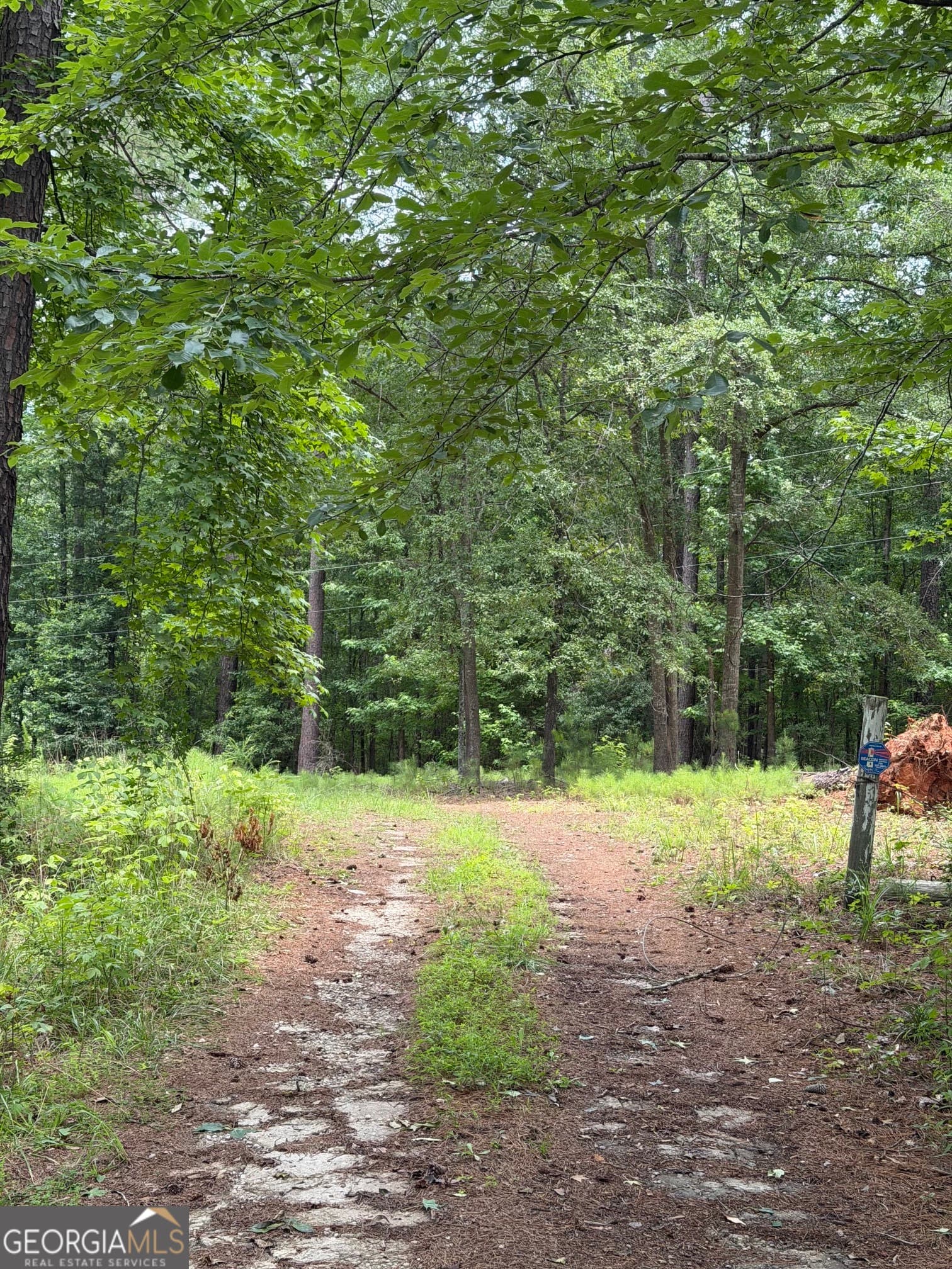 agriculture for sale at 1930 Locust Grove Road, Griffin, GA 30223 — photo 9