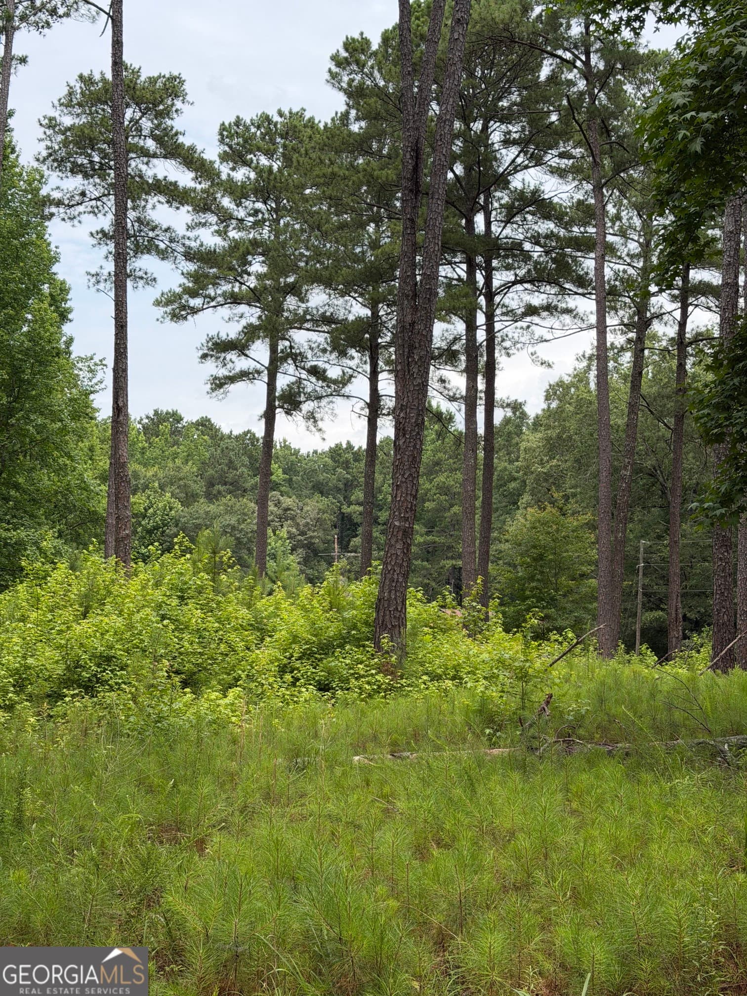 agriculture for sale at 1930 Locust Grove Road, Griffin, GA 30223 — photo 10