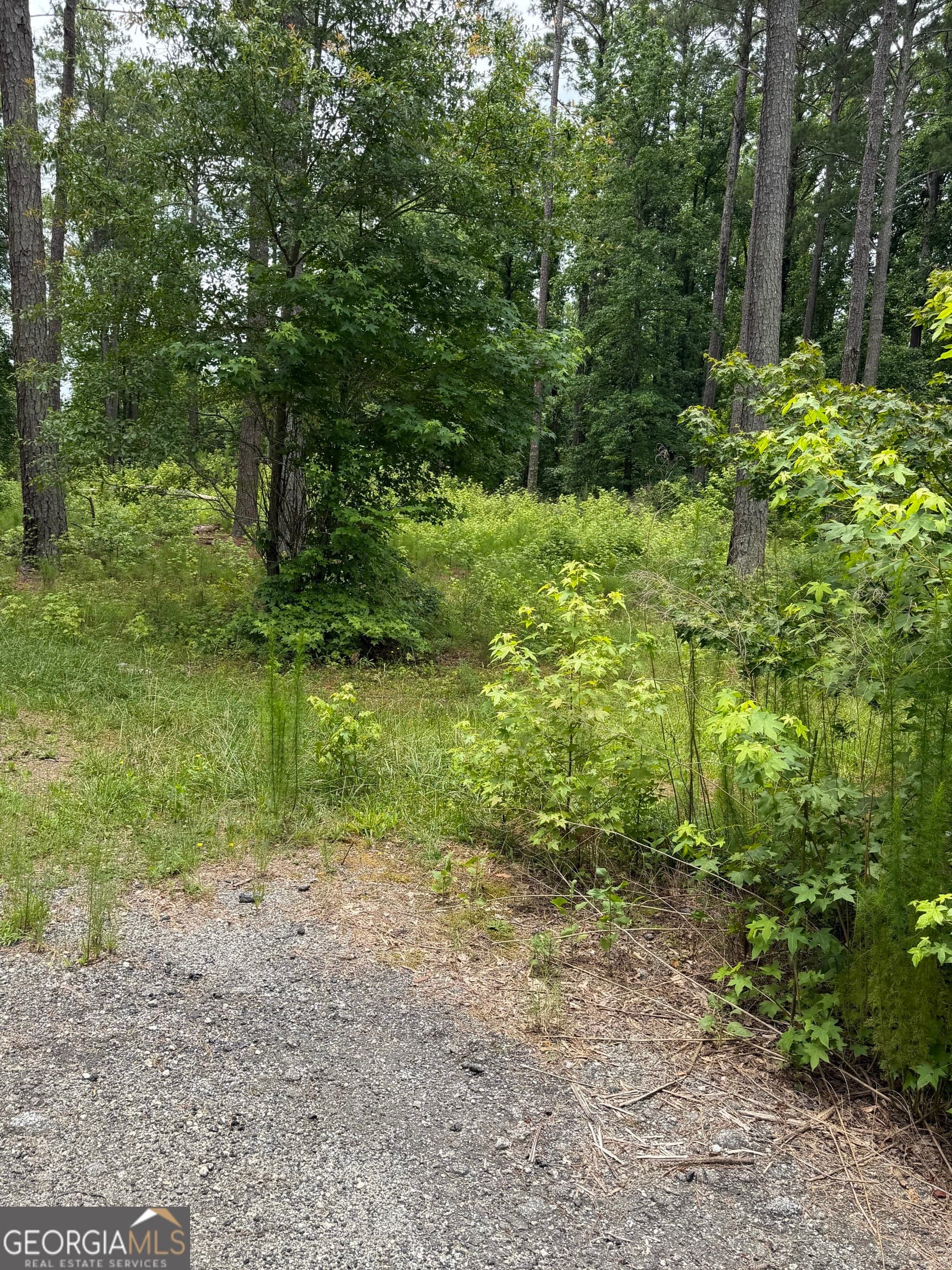 agriculture for sale at 1930 Locust Grove Road, Griffin, GA 30223 — photo 4