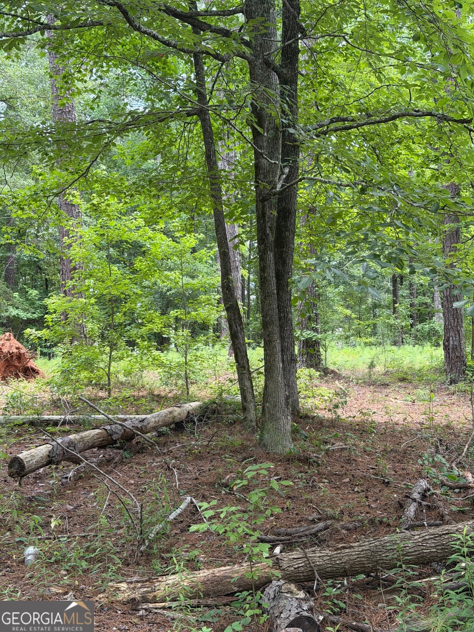 agriculture for sale at 1930 Locust Grove Road, Griffin, GA 30223 — photo 8