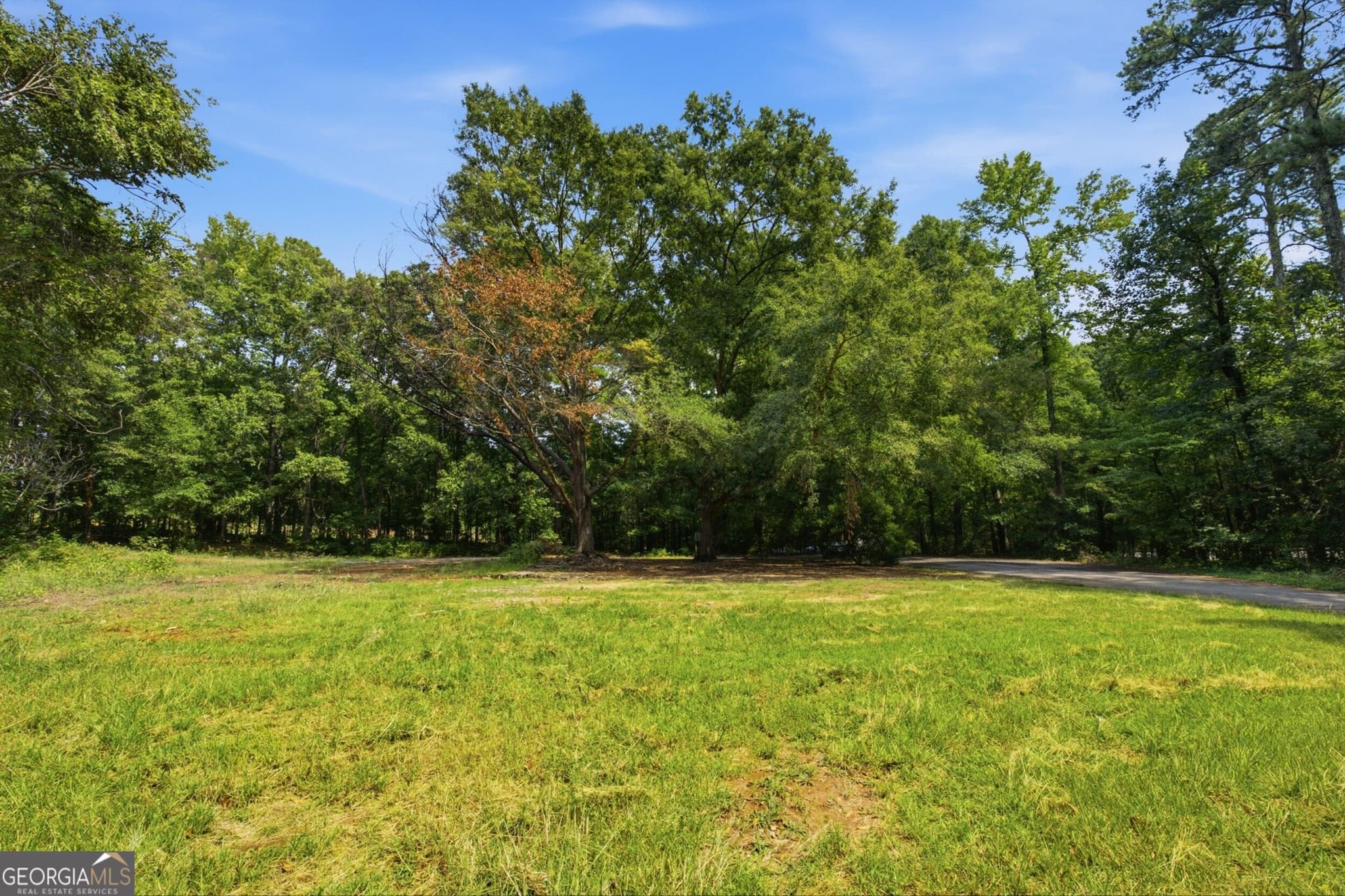 unimproved land for sale at 7792 Lyle Drive, Riverdale, GA 30296 — photo 4