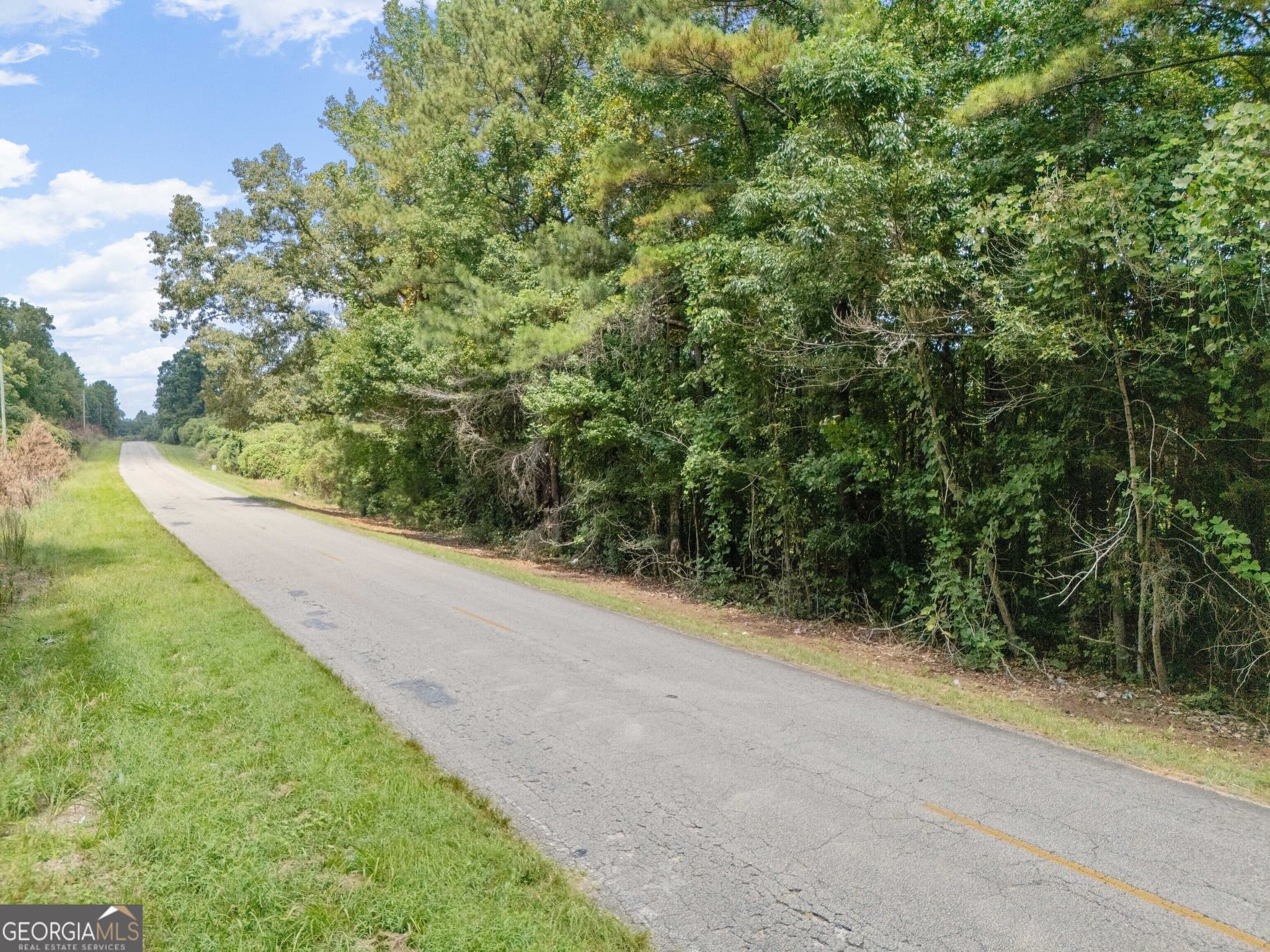 agriculture for sale at 0 County Road 87 6, Roanoke, AL 36274 — photo 2