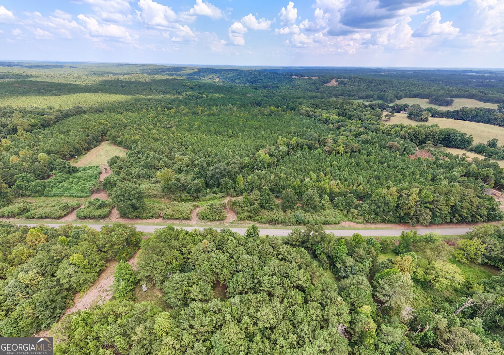 agriculture for sale at 0 County Road 87 6, Roanoke, AL 36274 — photo 3