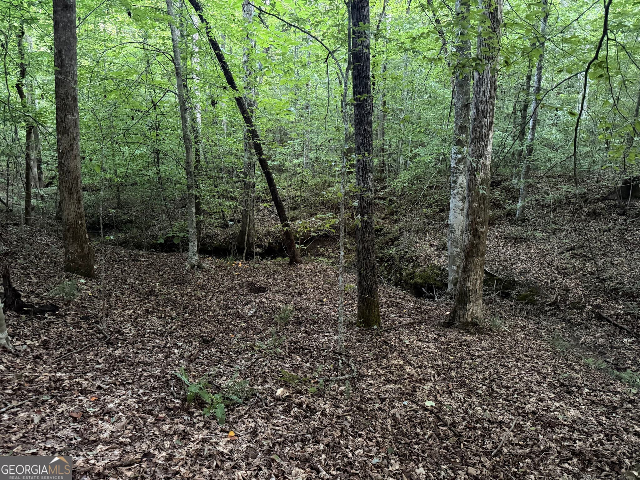 agriculture for sale at 0 County Road 87 6, Roanoke, AL 36274 — photo 9