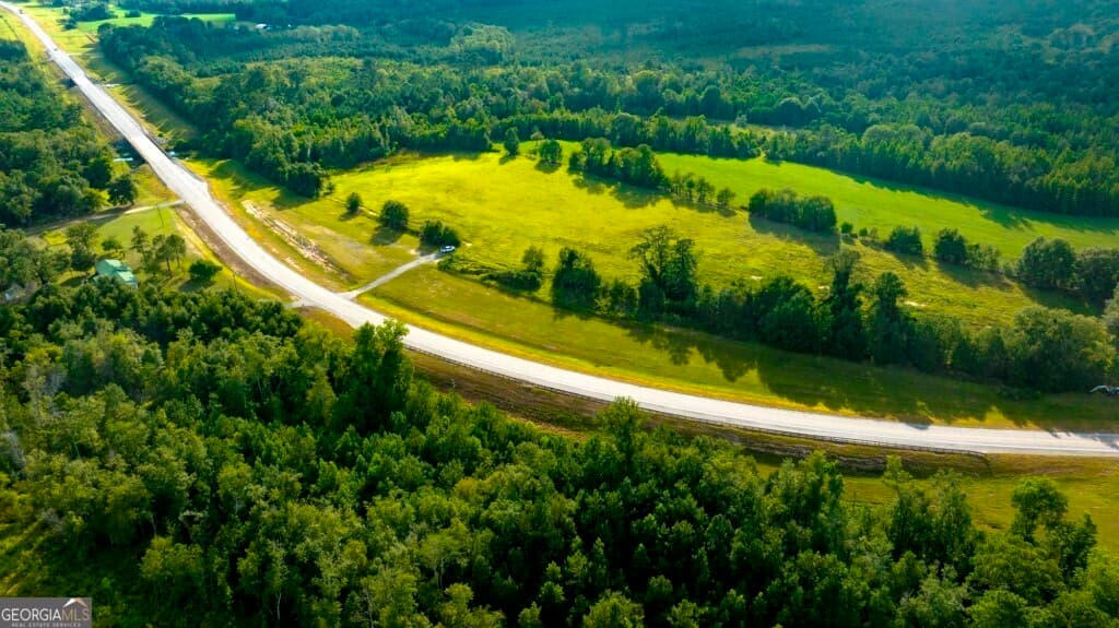 agriculture under contract at 0 HWY 319-441, Jacksonville, GA 31544 — photo 2