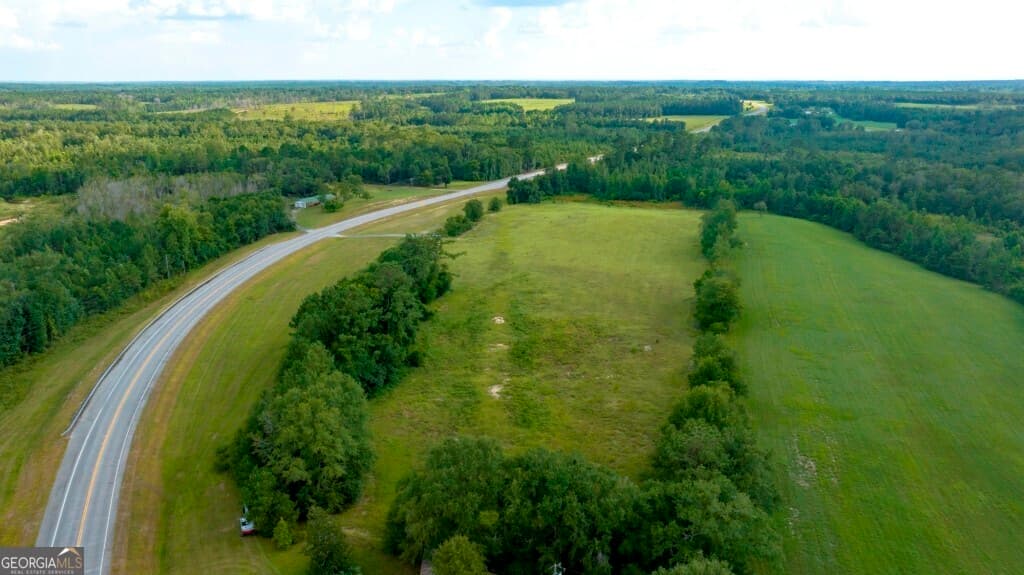 agriculture under contract at 0 HWY 319-441, Jacksonville, GA 31544 — photo 6