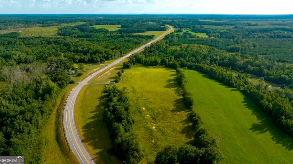 agriculture under contract at 0 HWY 319-441, Jacksonville, GA 31544 — photo 7