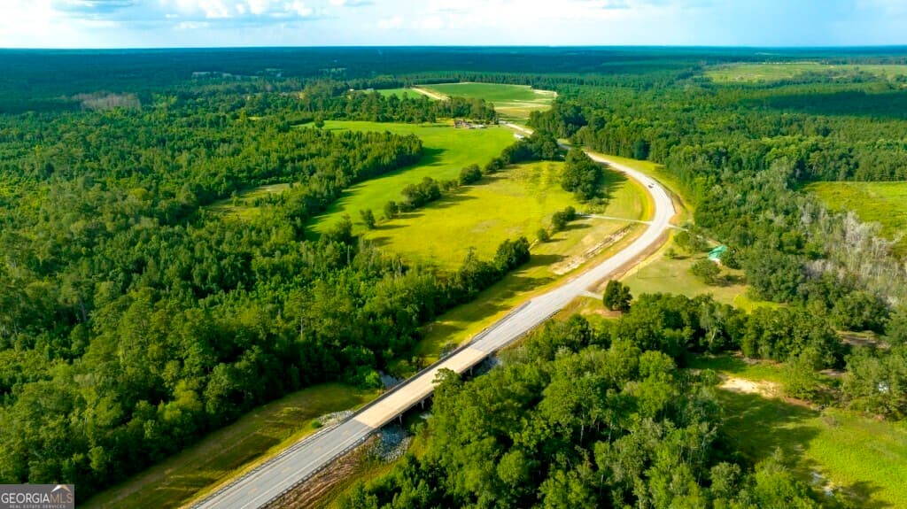 agriculture under contract at 0 HWY 319-441, Jacksonville, GA 31544 — photo 3