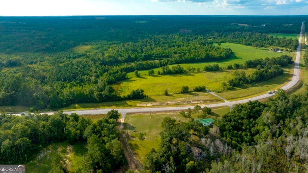 agriculture under contract at 0 HWY 319-441, Jacksonville, GA 31544 — photo 5