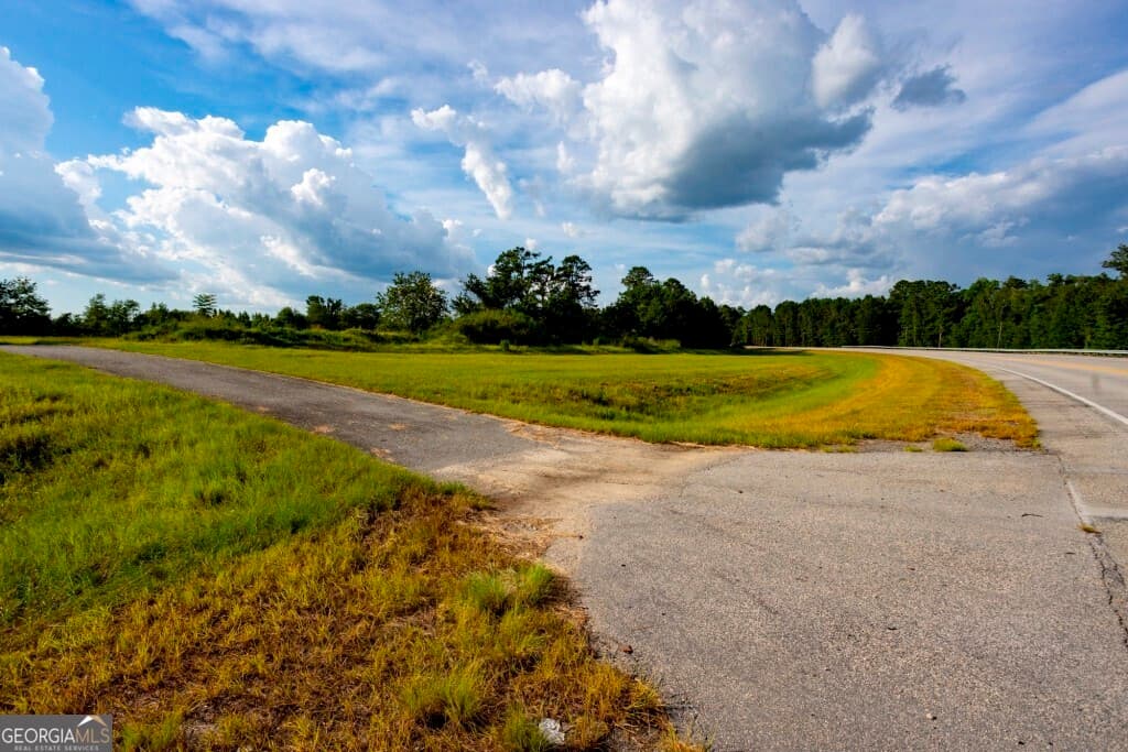 agriculture under contract at 0 HWY 319-441, Jacksonville, GA 31544 — photo 9