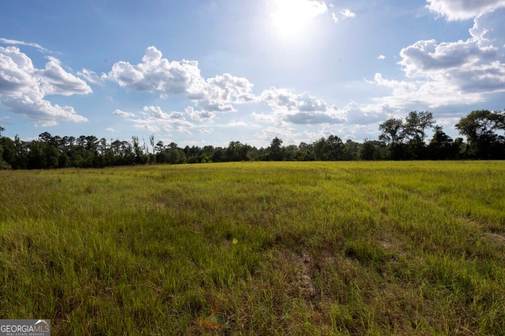agriculture under contract at 0 HWY 319-441, Jacksonville, GA 31544 — photo 10