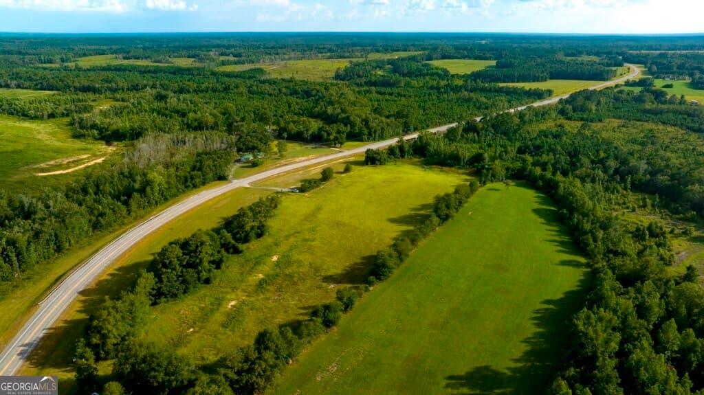 agriculture under contract at 0 HWY 319-441, Jacksonville, GA 31544 — photo 4