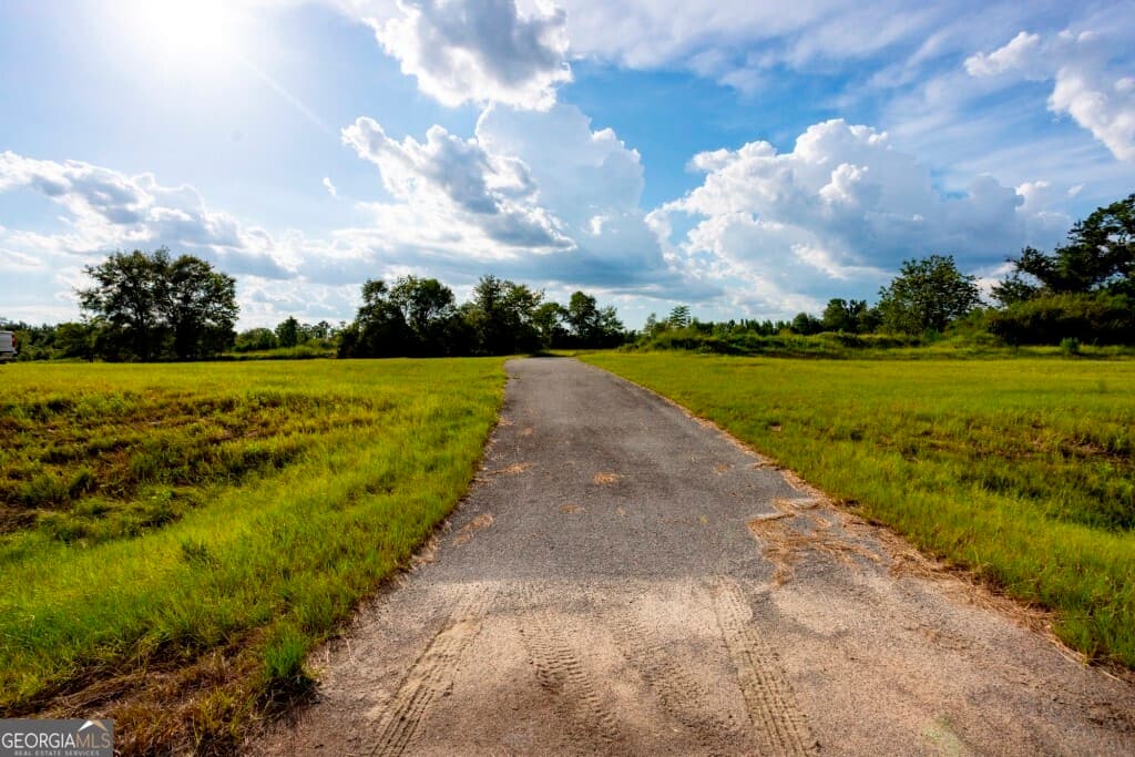 agriculture under contract at 0 HWY 319-441, Jacksonville, GA 31544 — photo 8