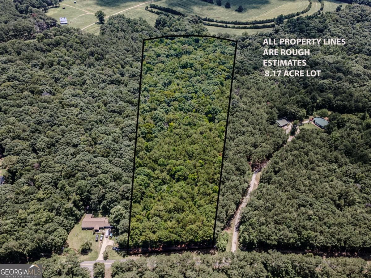 unimproved land for sale at 0 Browning Shoals Road, Social Circle, GA 30025 — photo 2