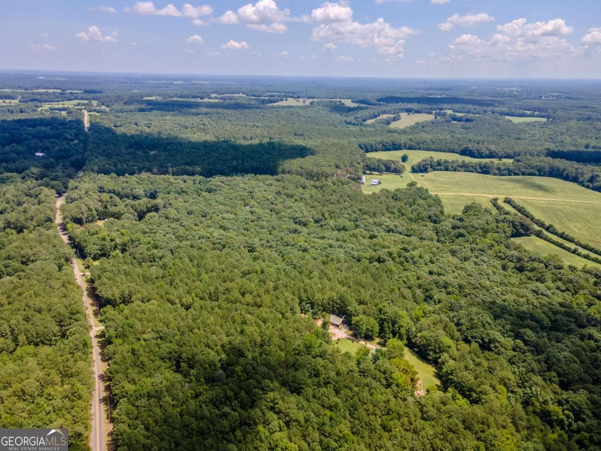 unimproved land for sale at 0 Browning Shoals Road, Social Circle, GA 30025 — photo 6